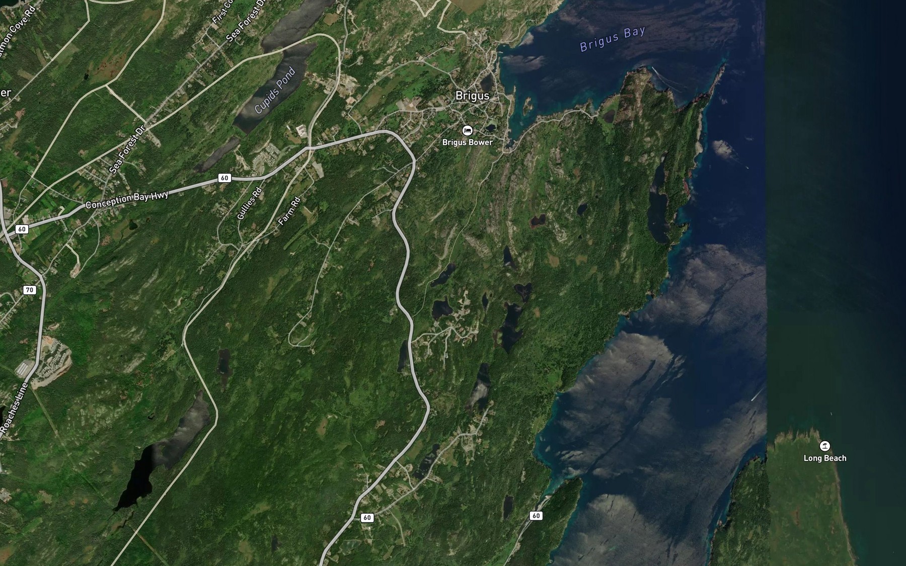 Satellite map of the First Pond