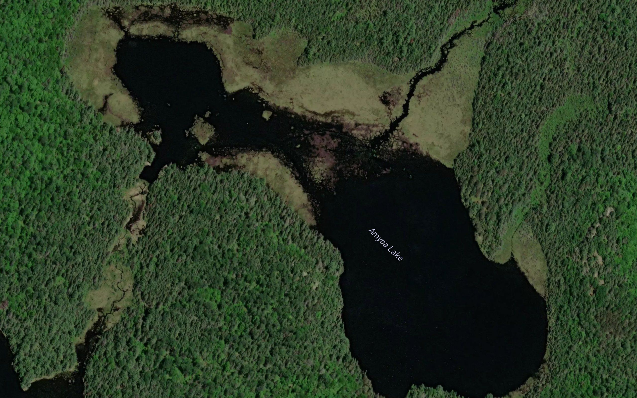 Amyoa Lake