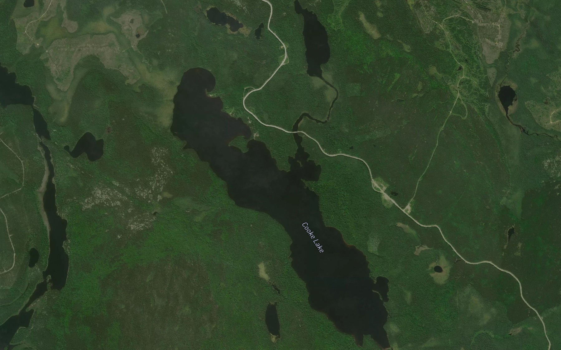 Satellite map of the Cooke Lake