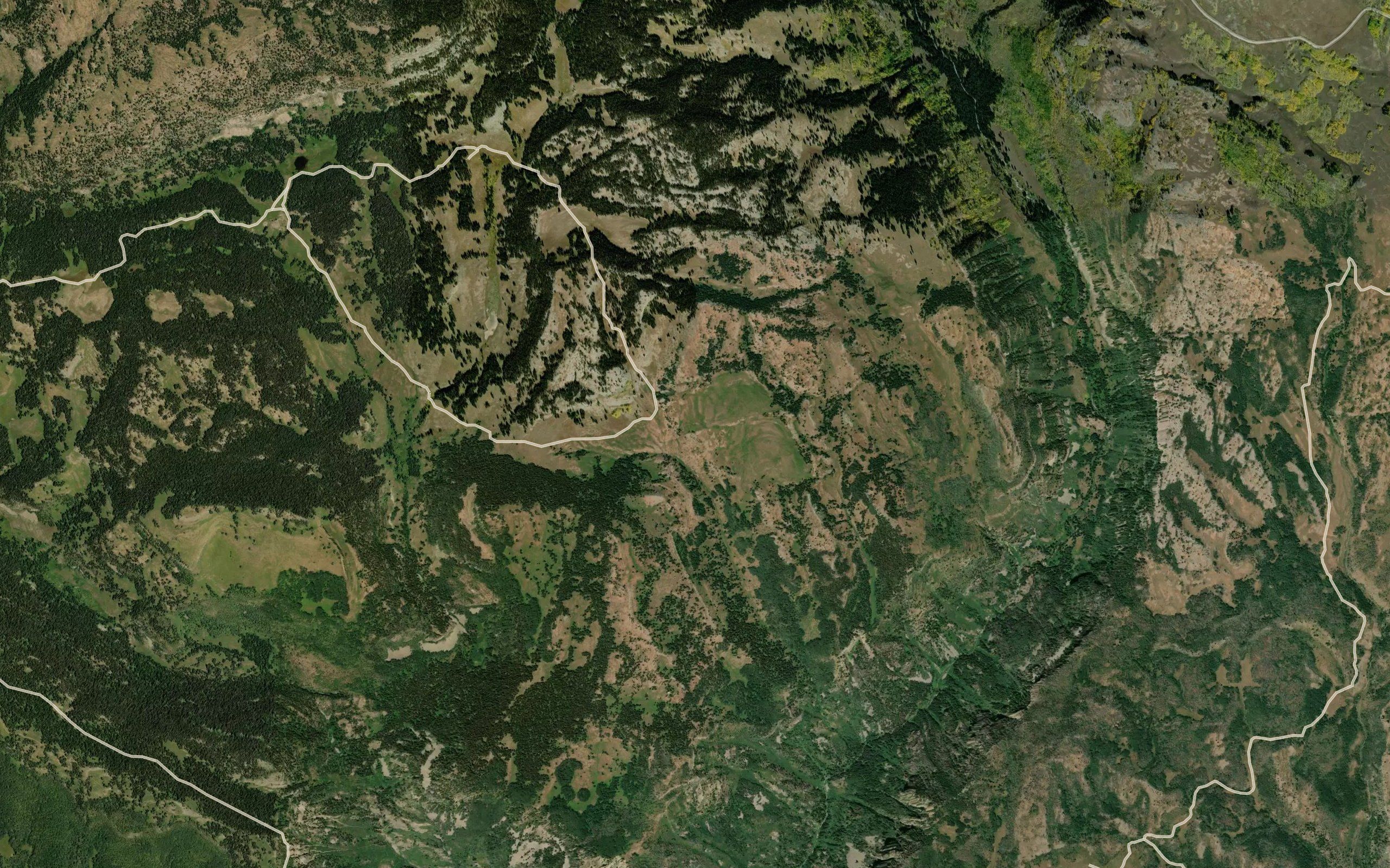 Hillside Spring