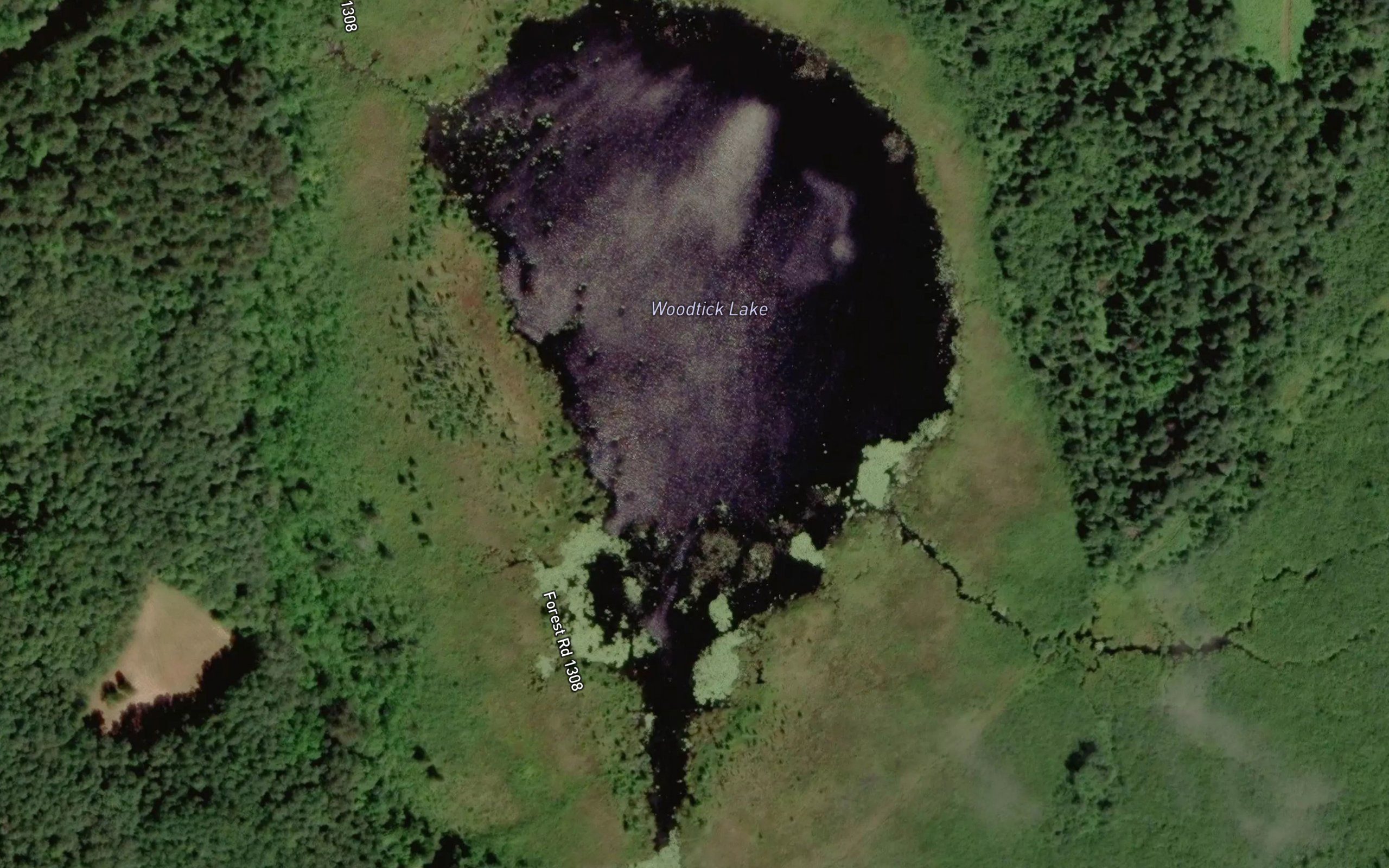 Woodtick Lake