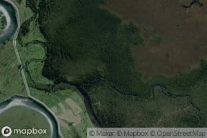Stout Creek