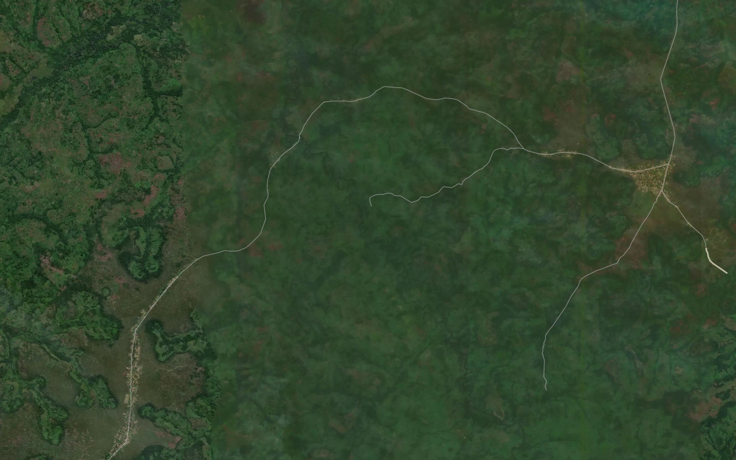 Sasamale