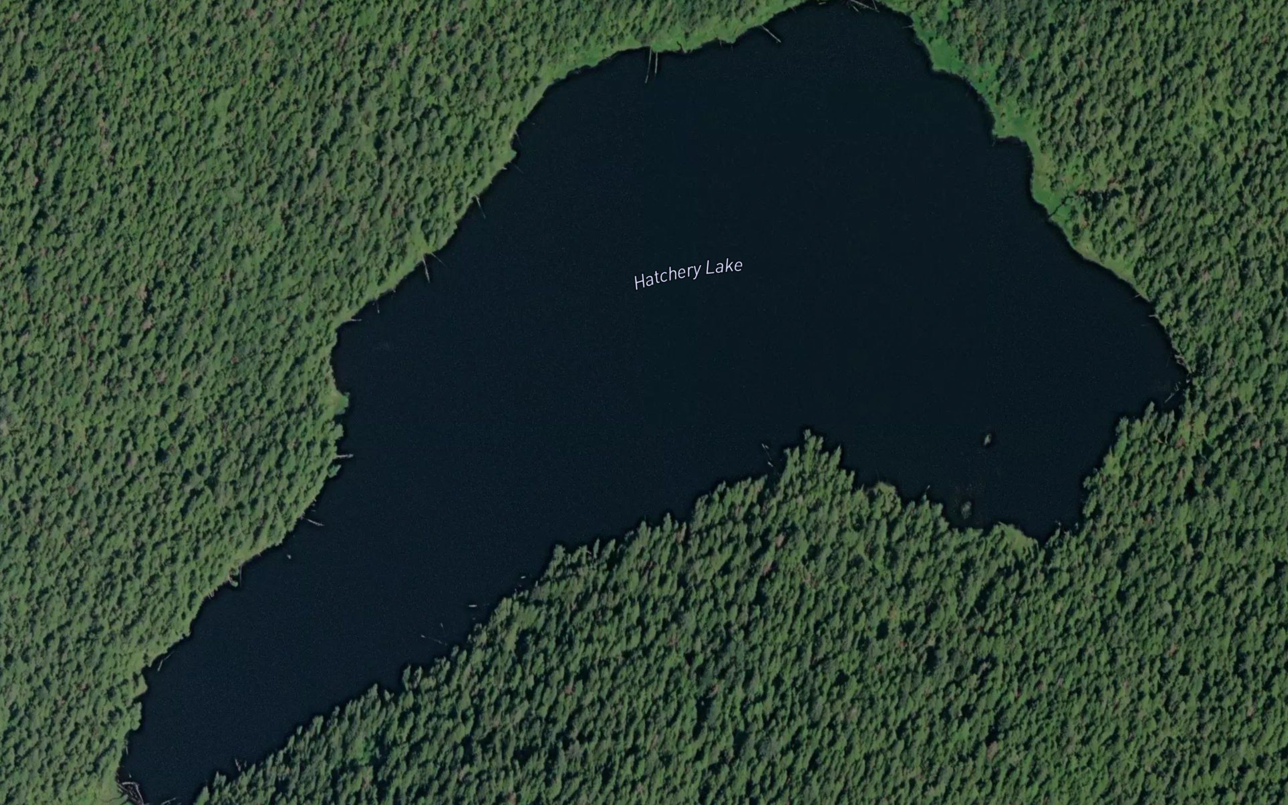 Hatchery Lake