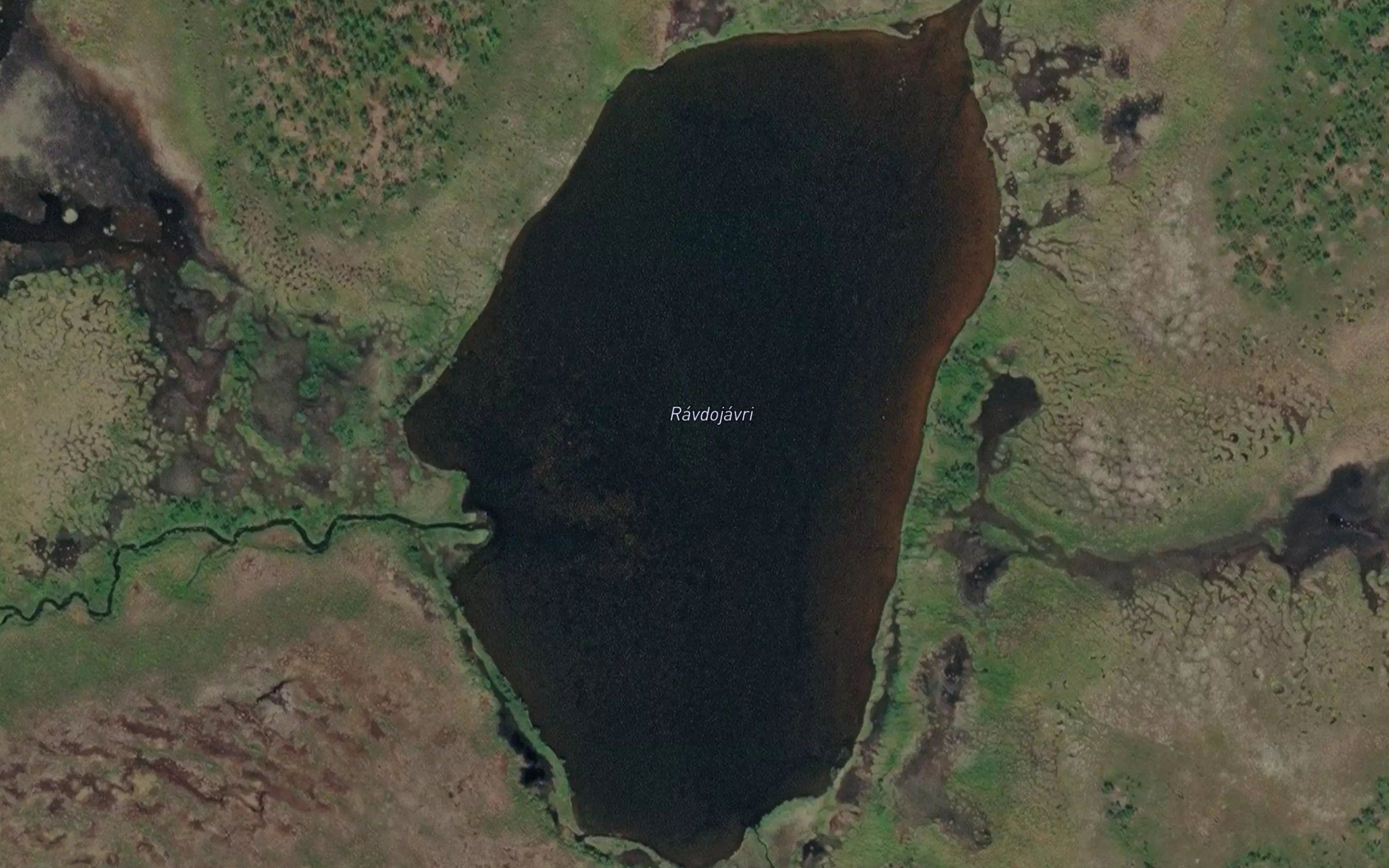 Ravdujavri