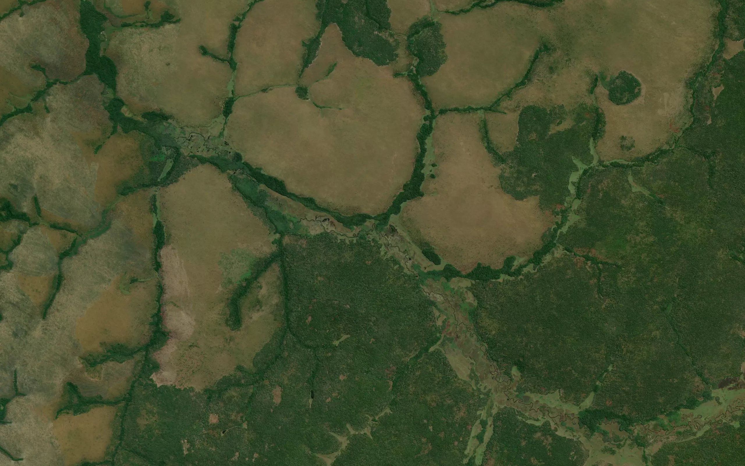 Njamba