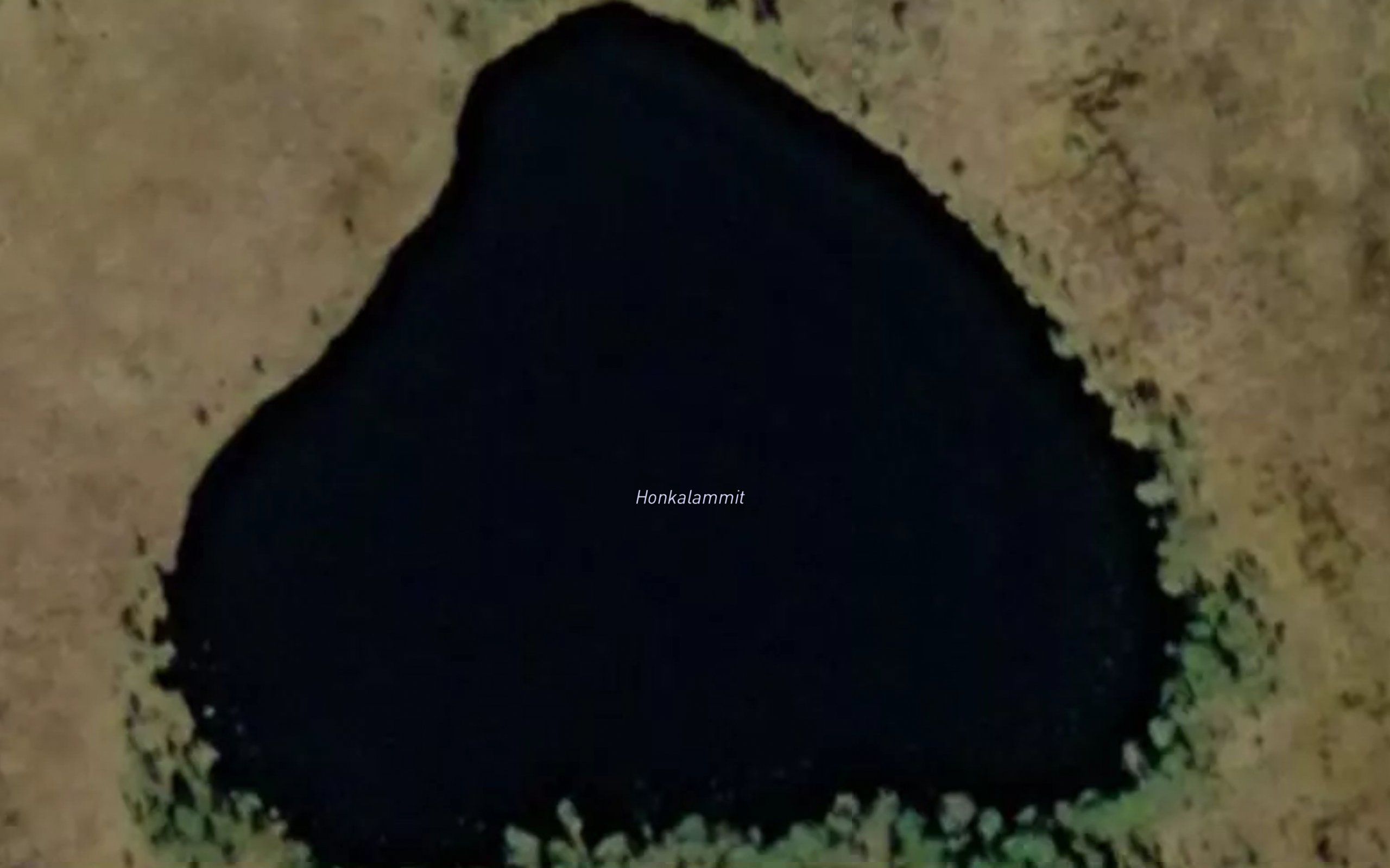 Honkalammit