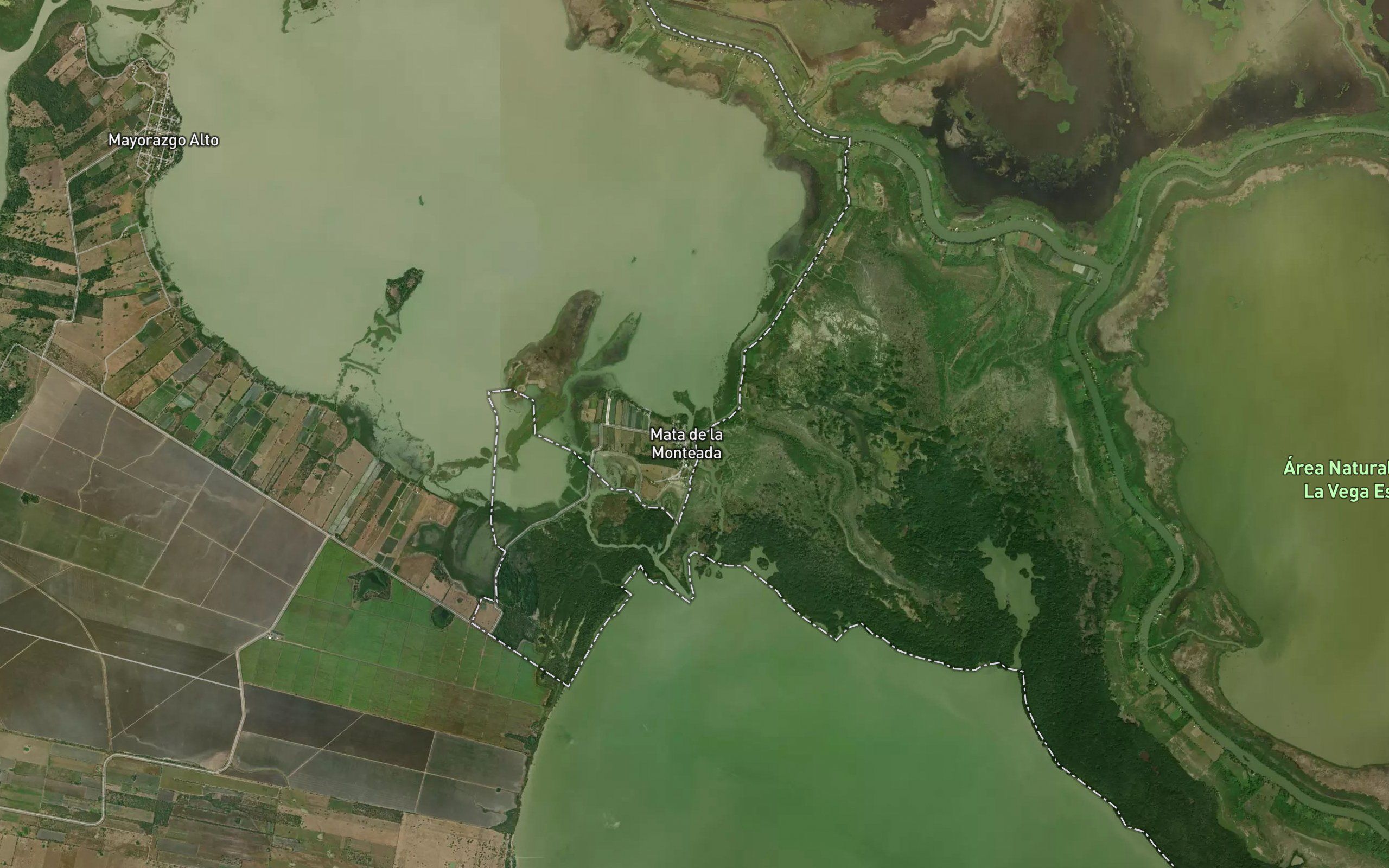 Estero el Camalote