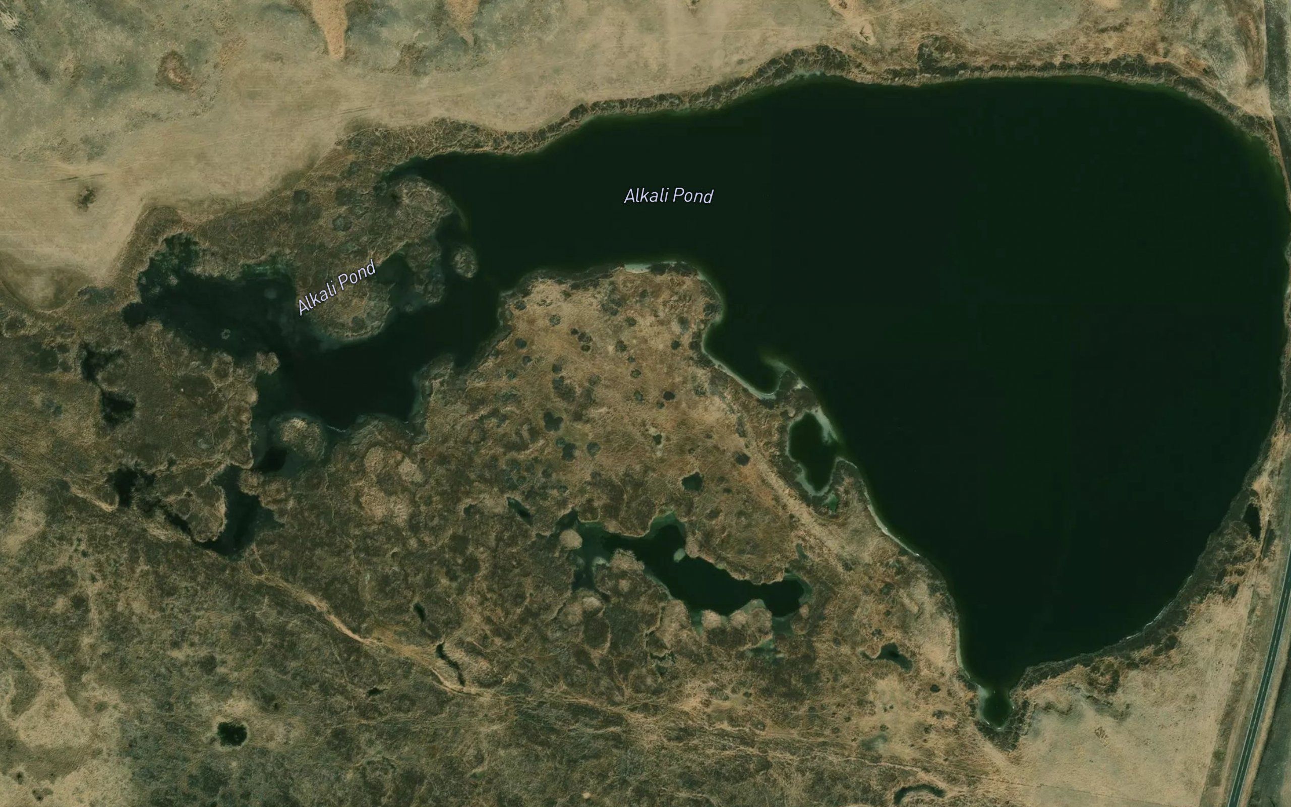 Alkali Pond