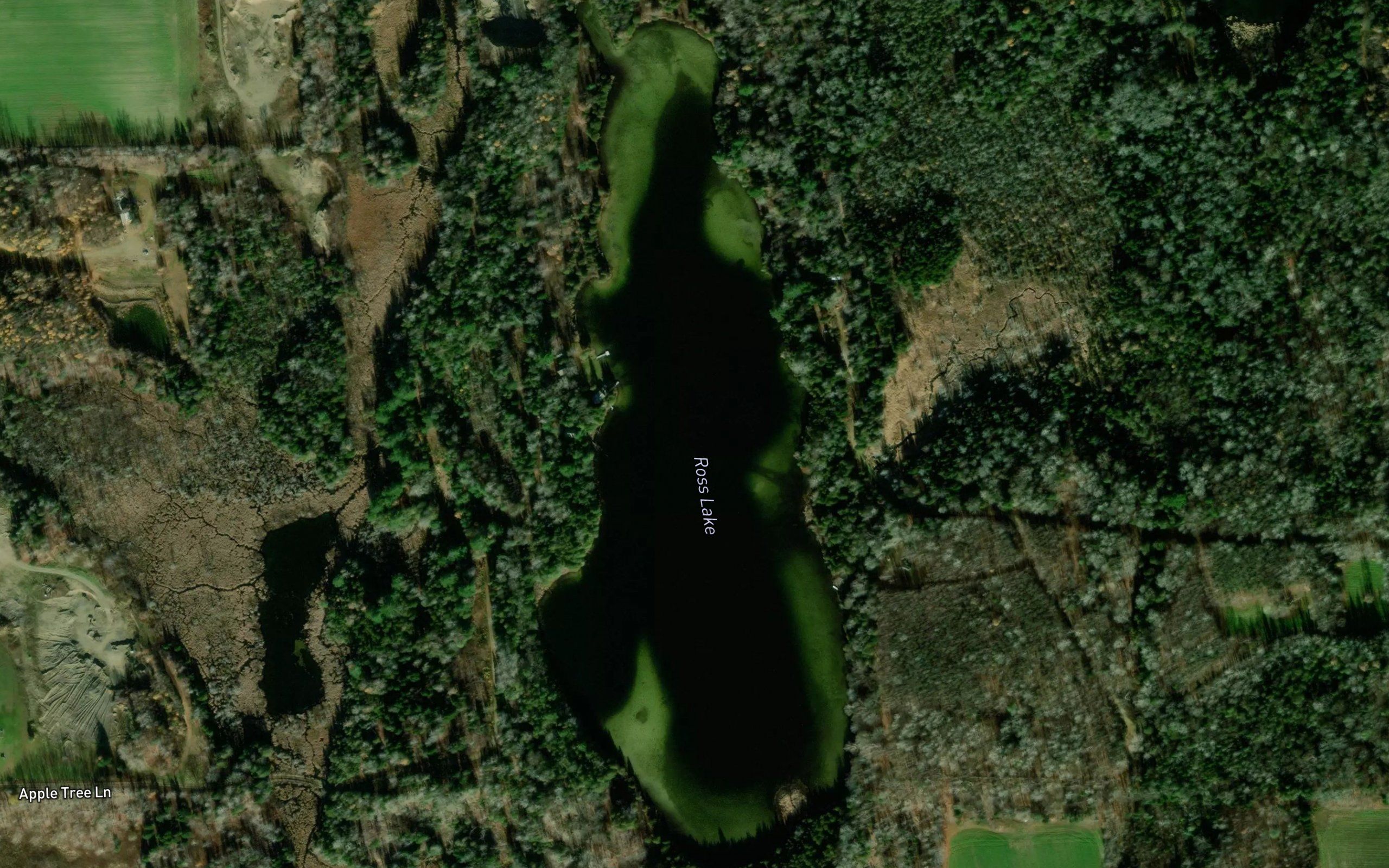 Ross Lake