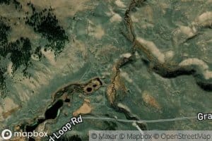 Black tail Deer Creek