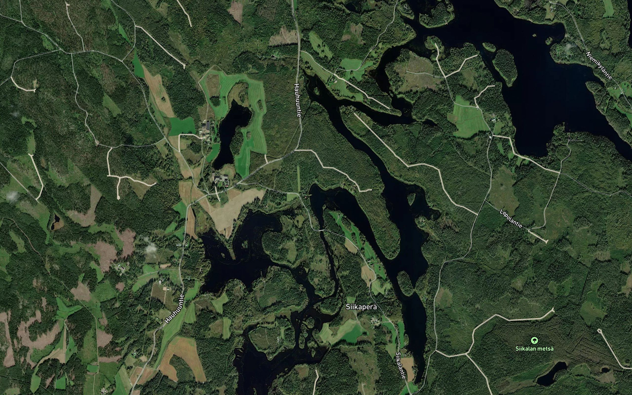 Papinlahti