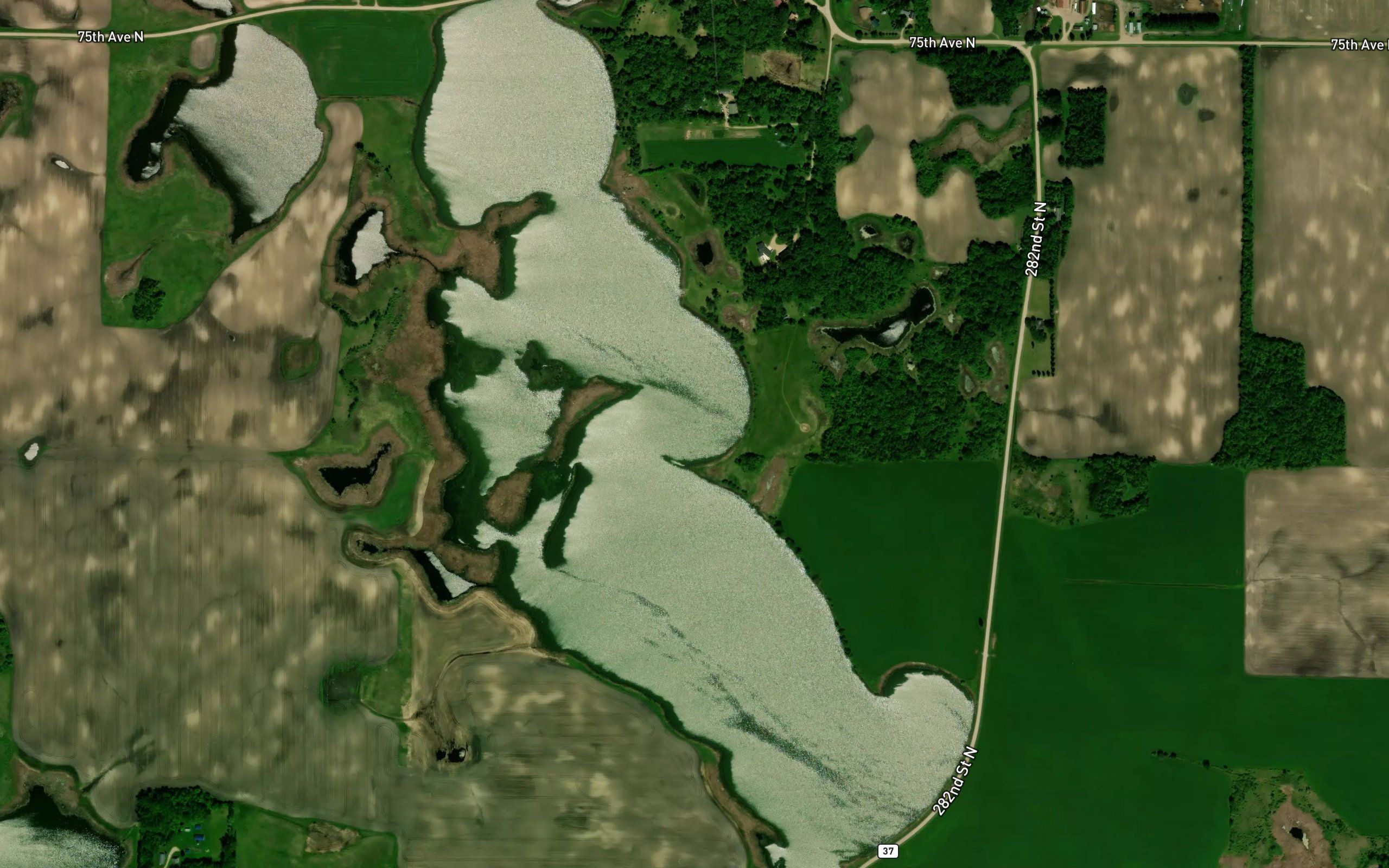Swede Grove Lake