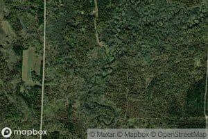 Logging Creek