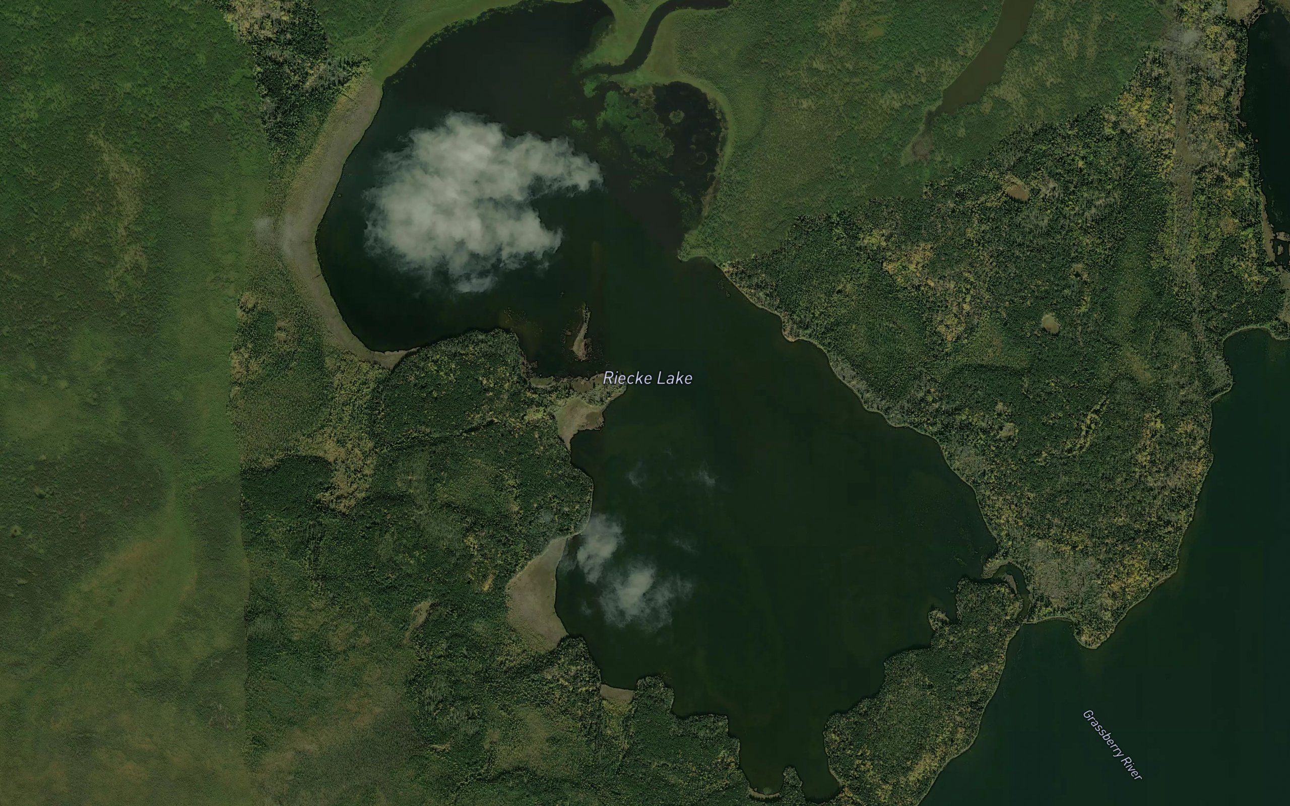 Riecke Lake