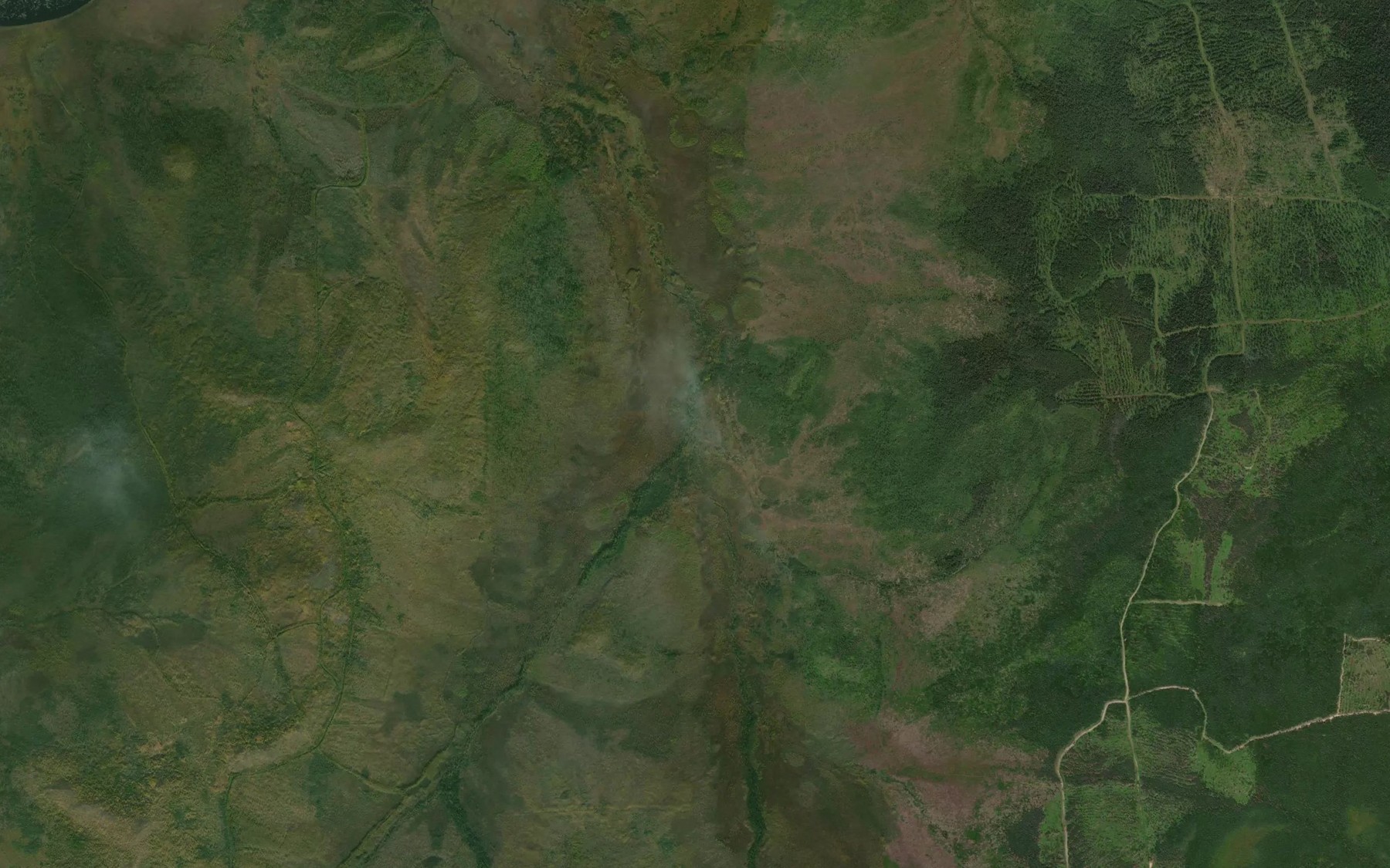 Satellite map of the Chistyy
