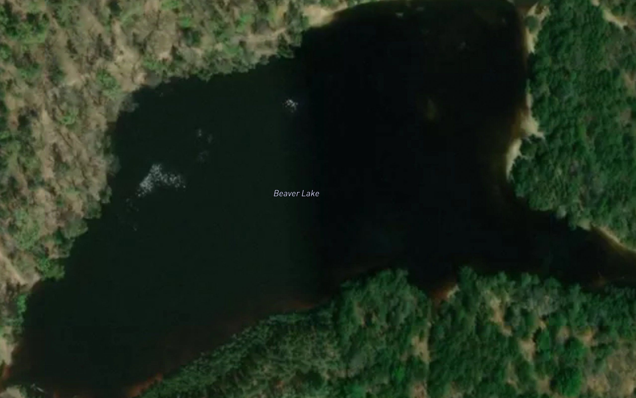 Beaver Lake