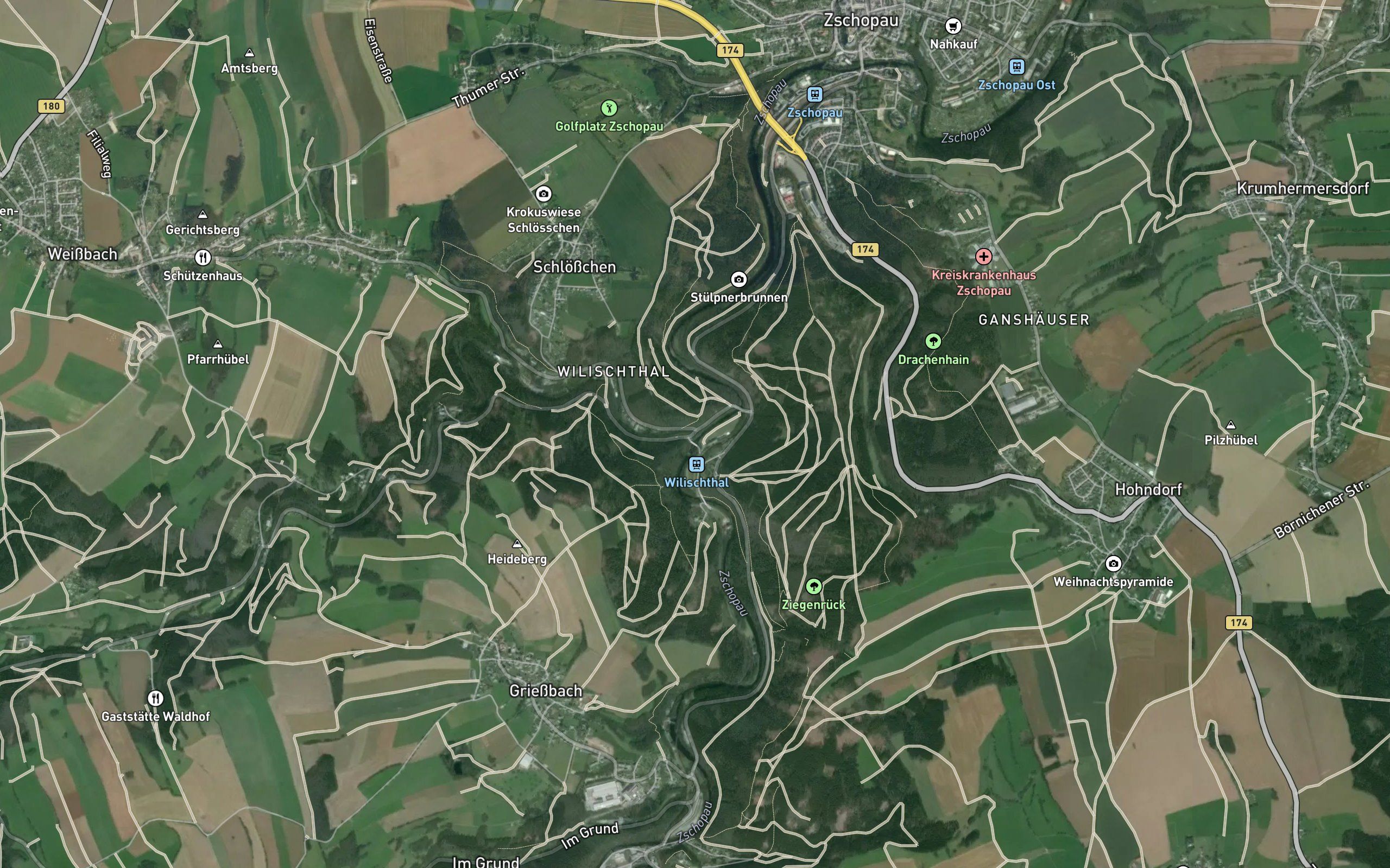 Wilisch