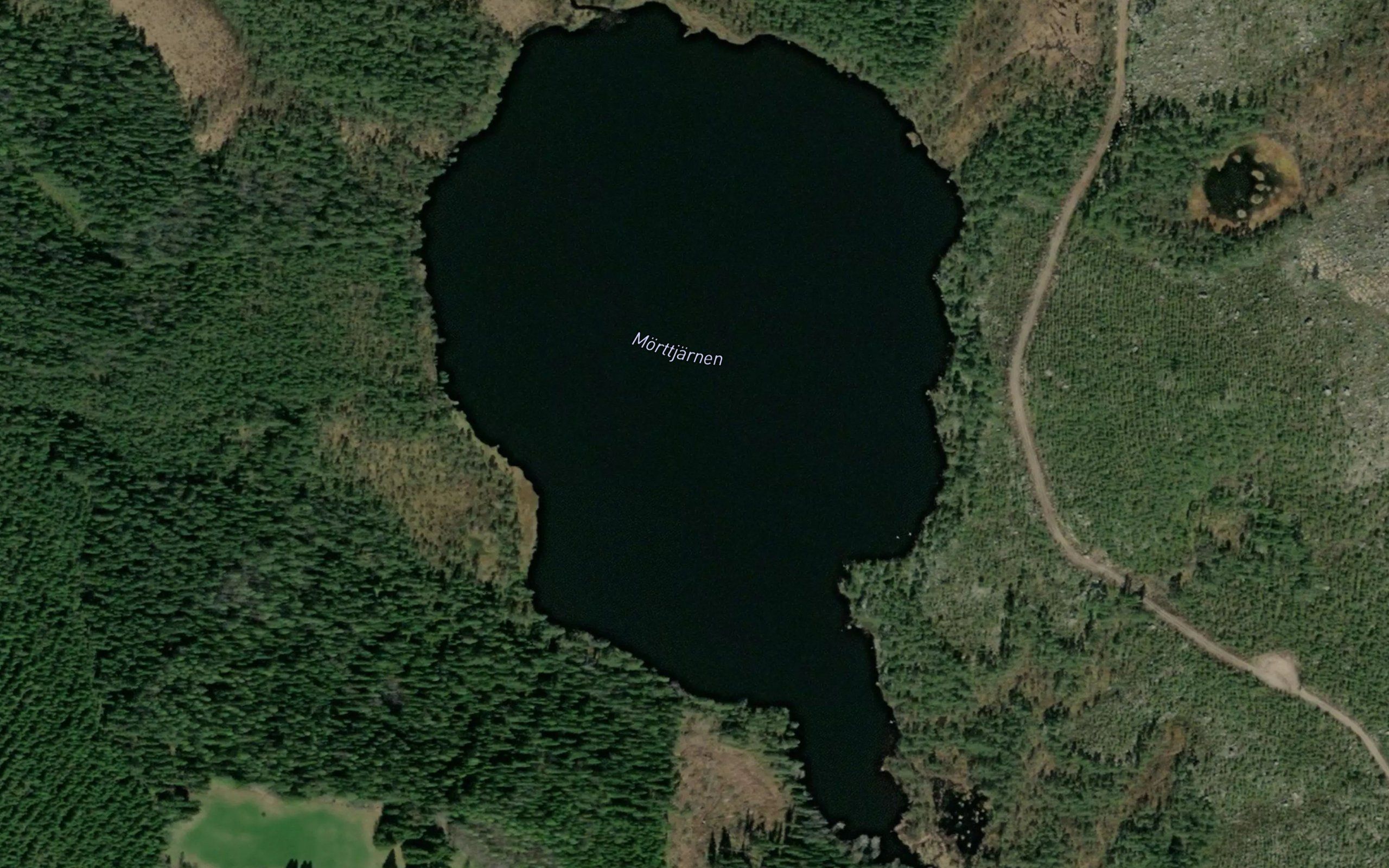 Morttjarn