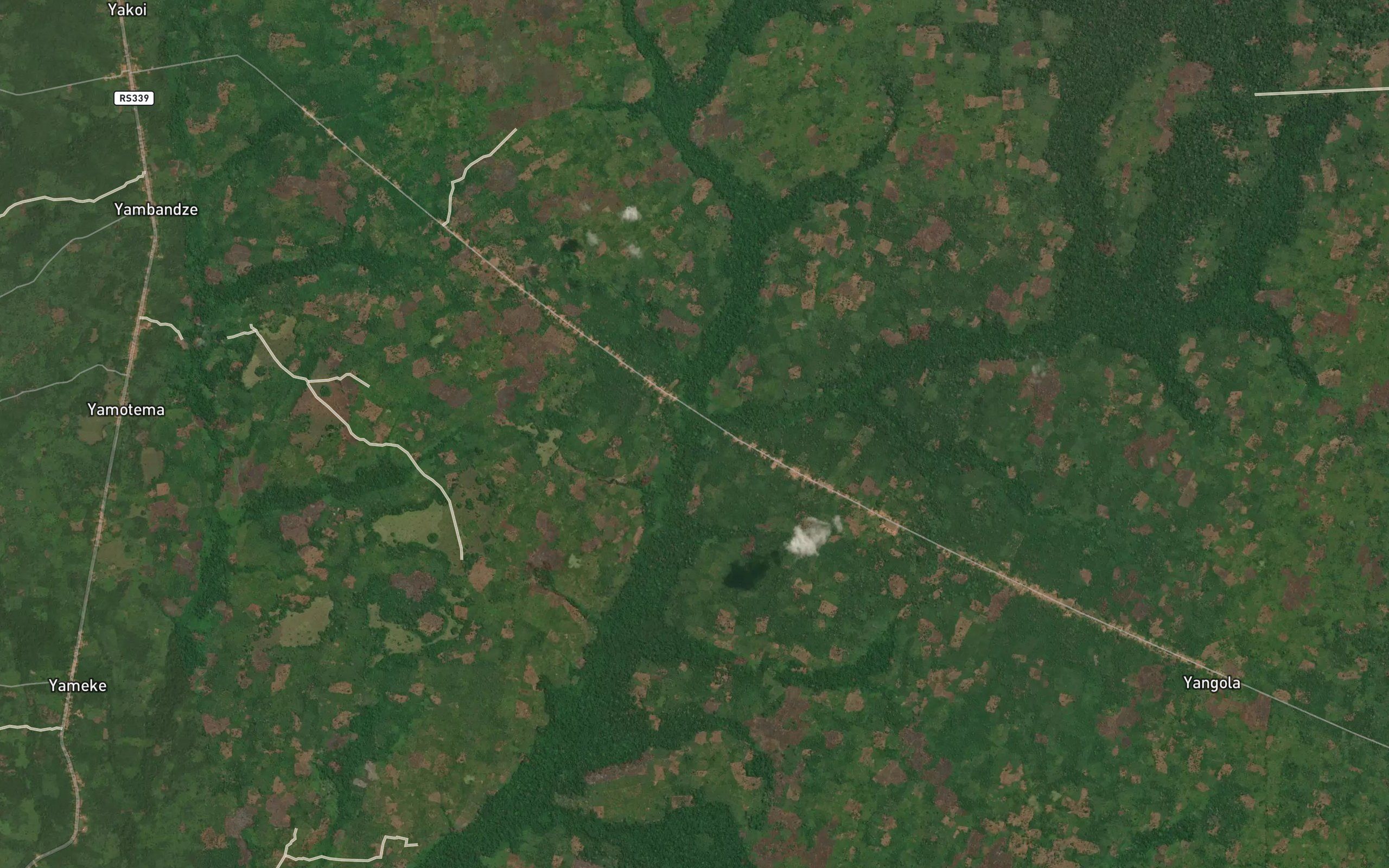 Lisingi