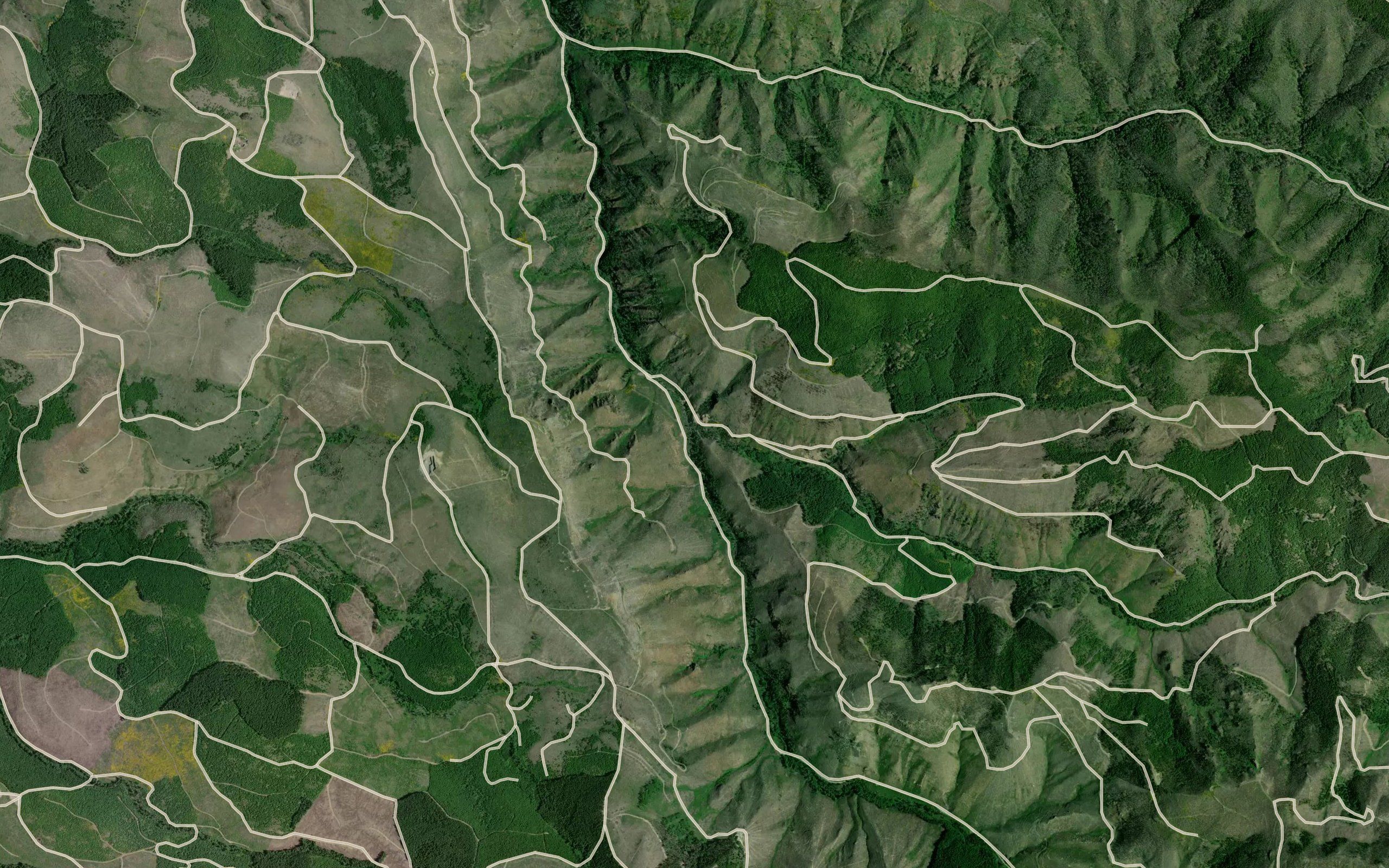 Cougar Creek
