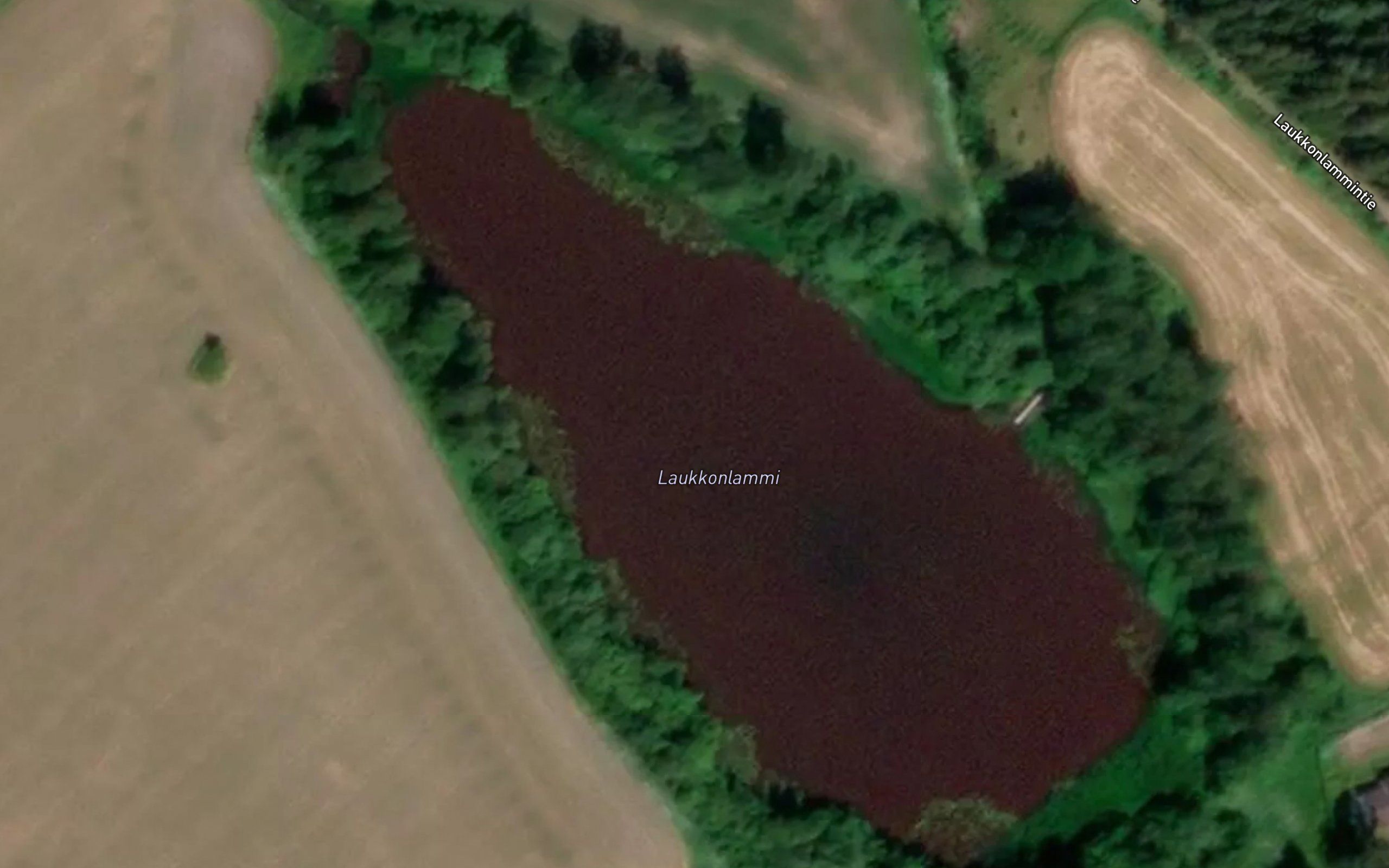 Laukkonlammi