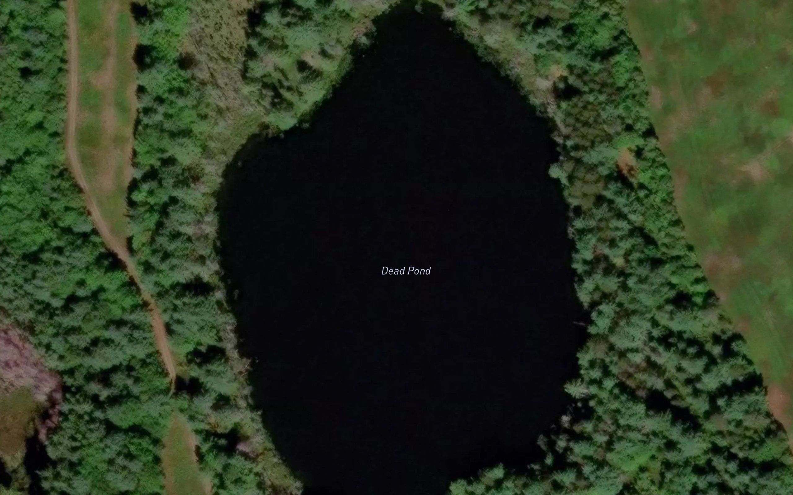 Dead Pond