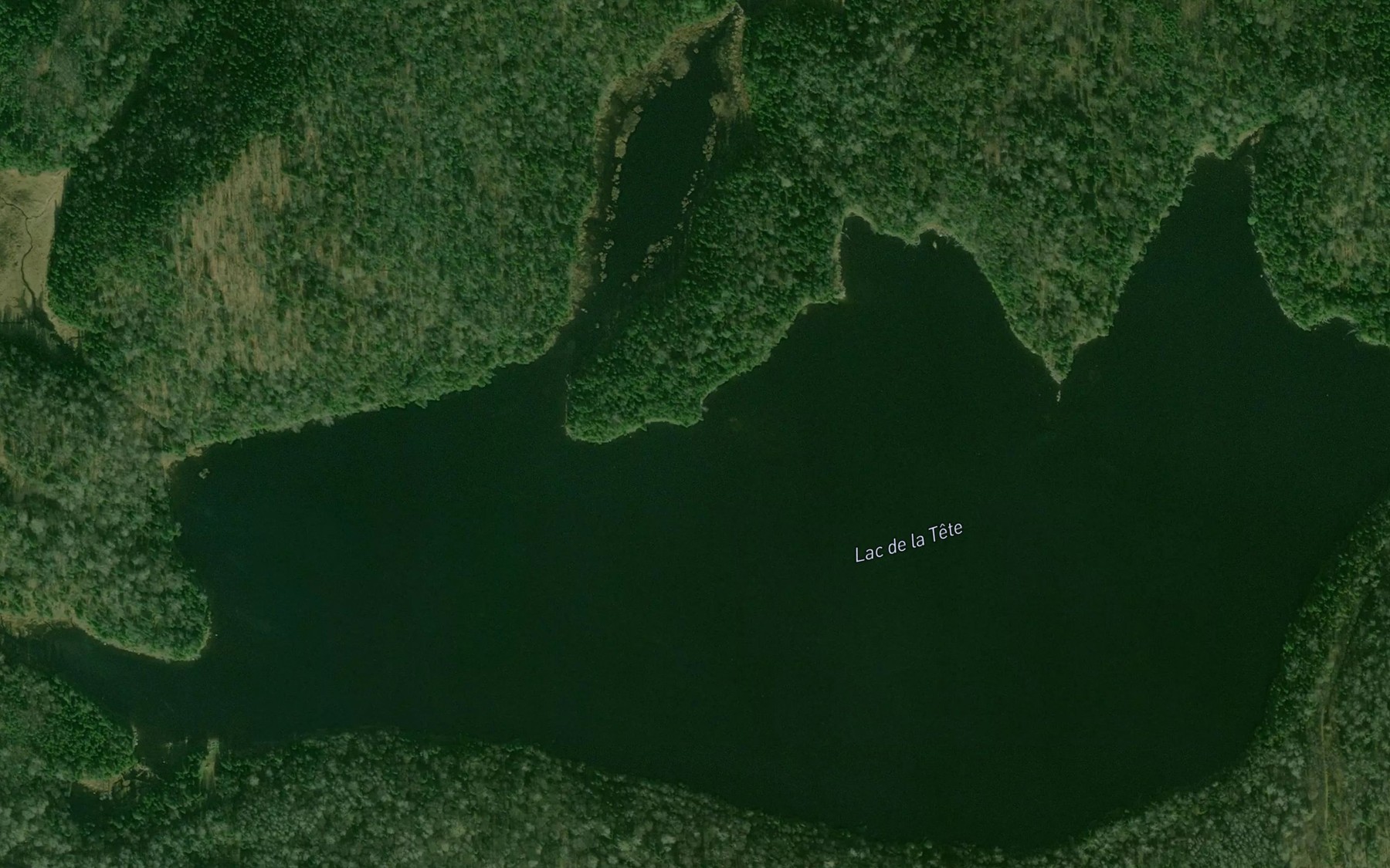 Satellite map of the Lac de la Tete