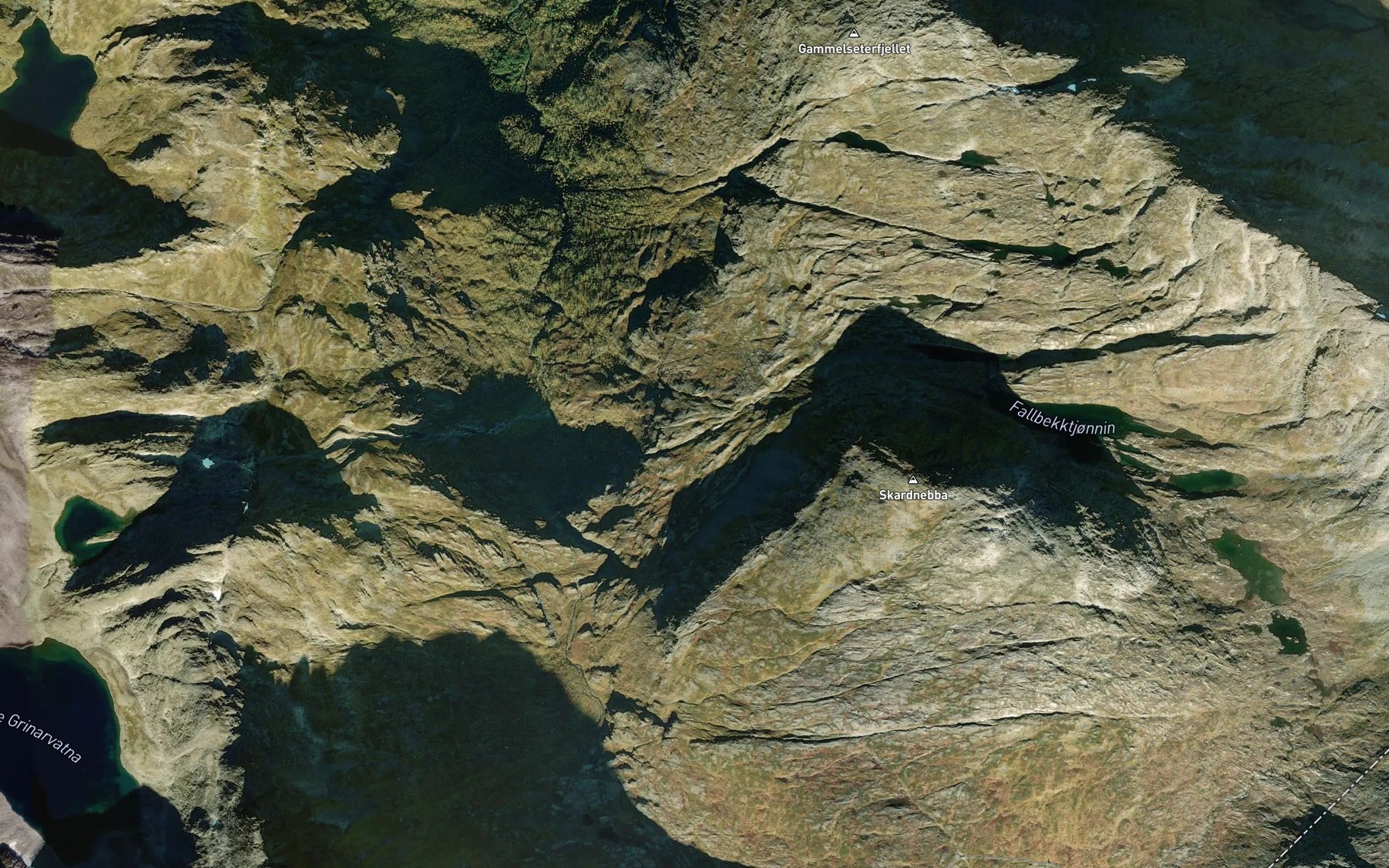 Satellite map of the Austre Fallbekken