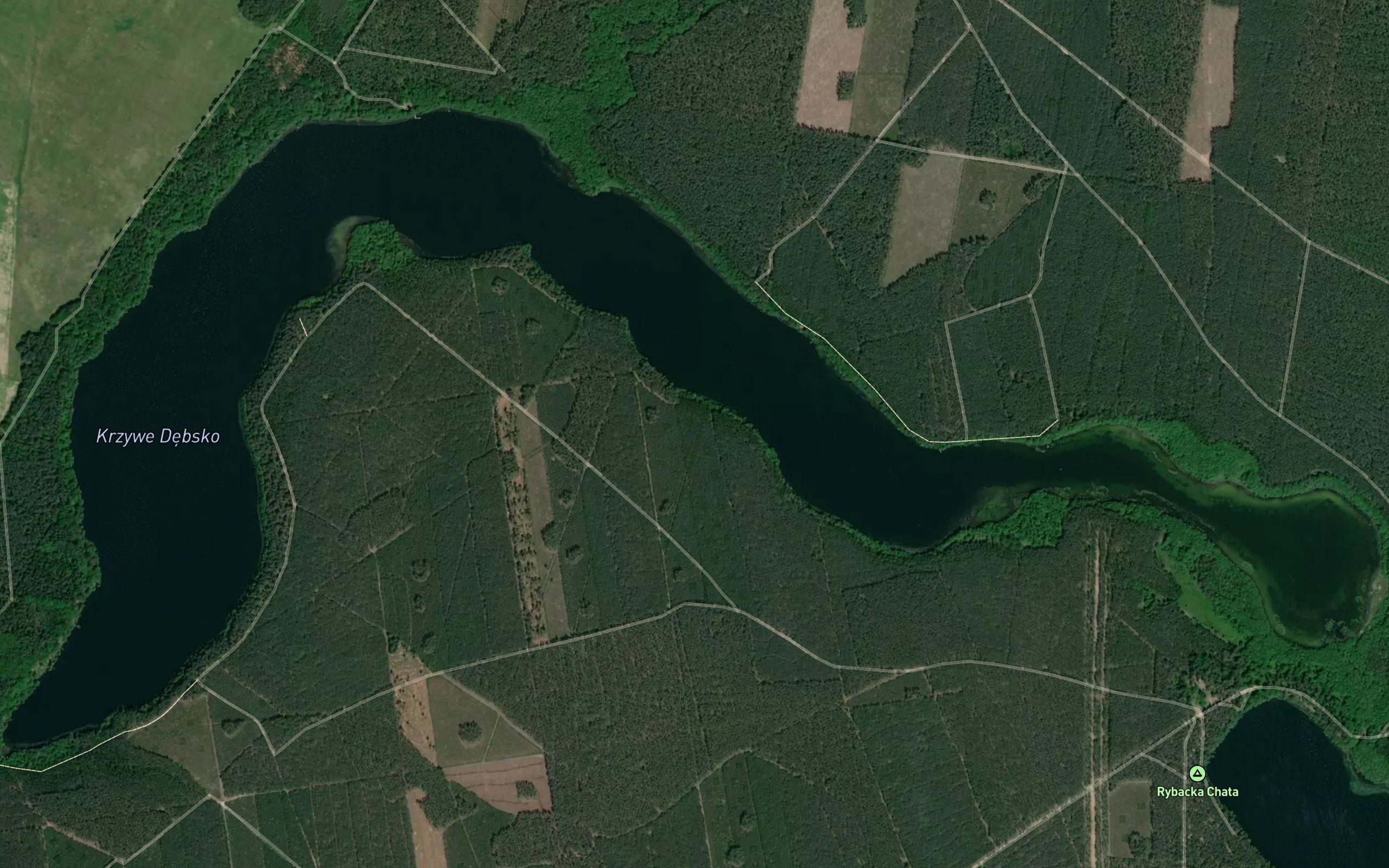 Jezioro Krzywe Debsko