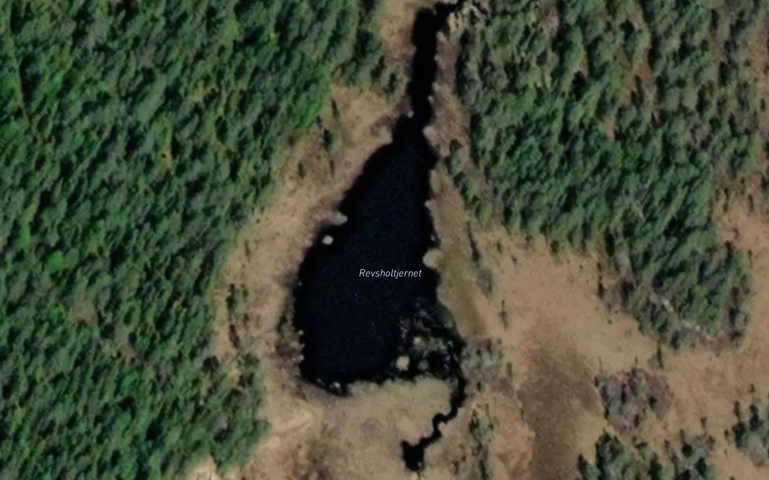 Revsholtjernet