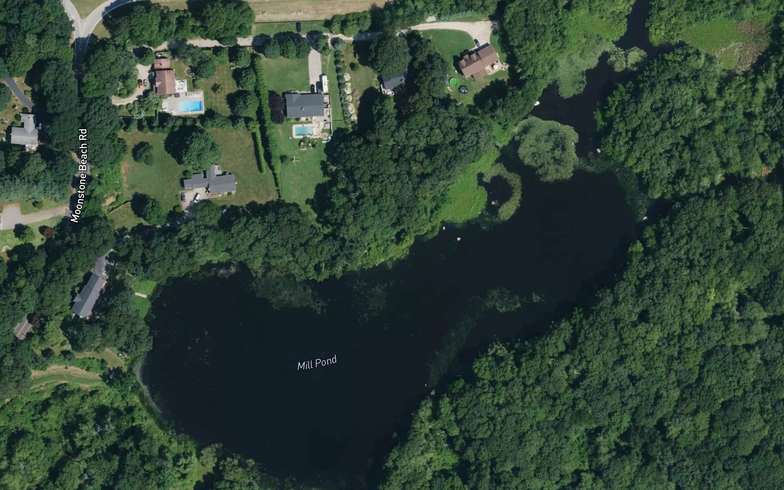 Mill Pond