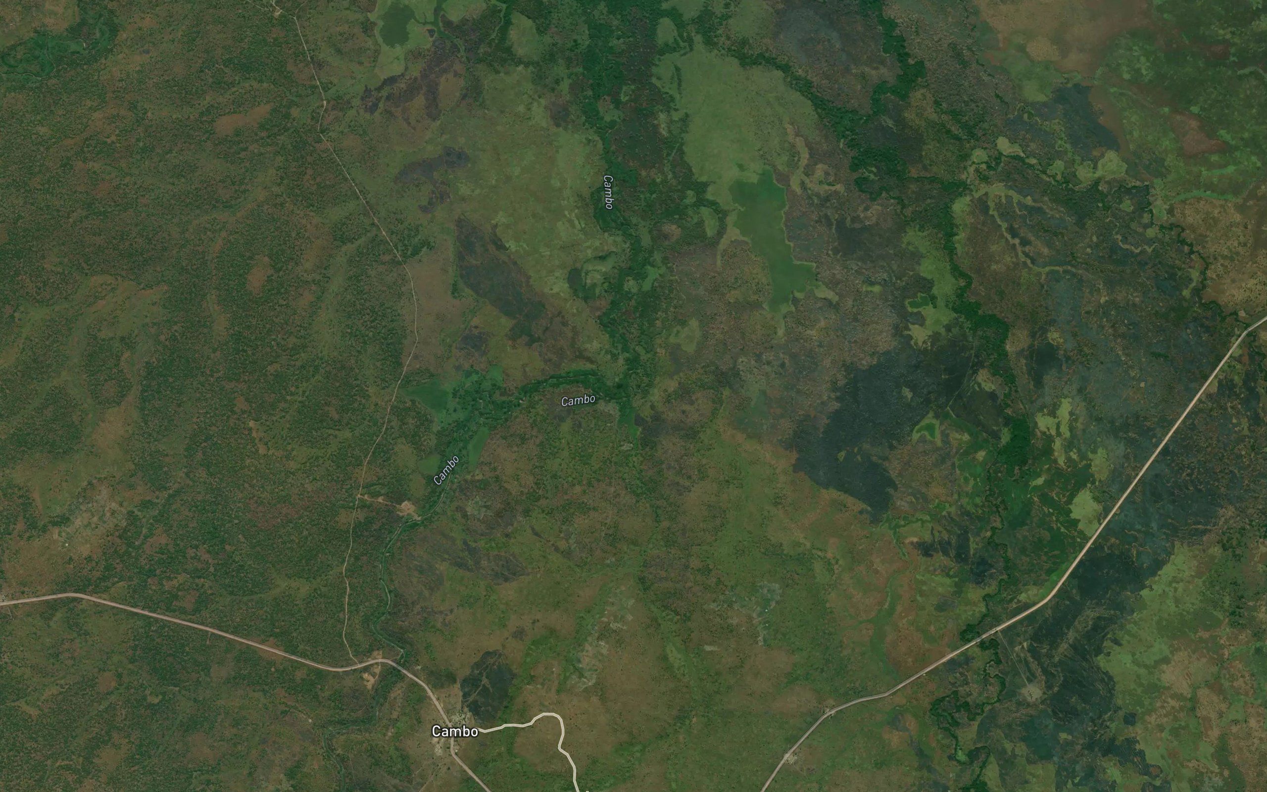 Camingau
