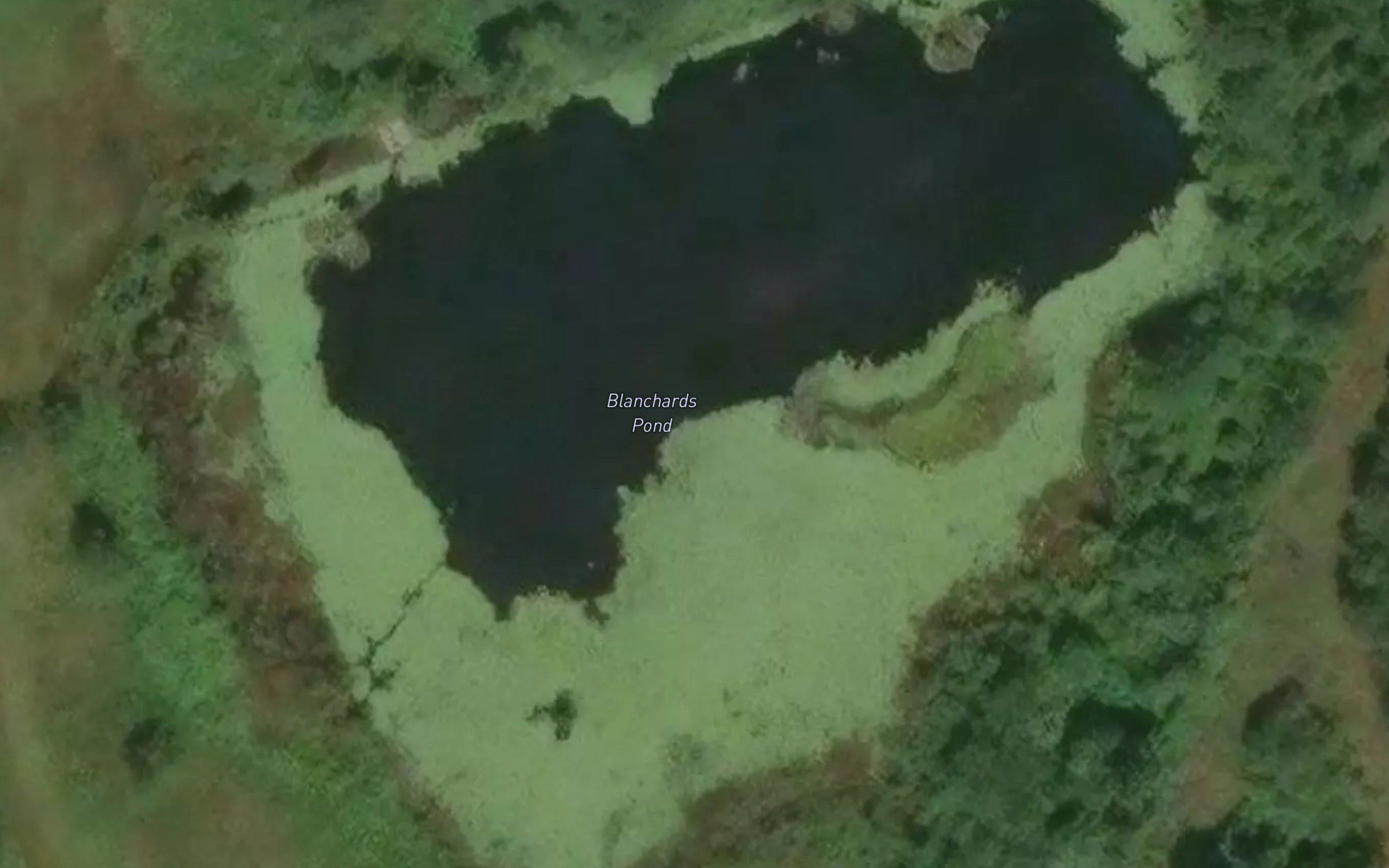 Blanchards Pond