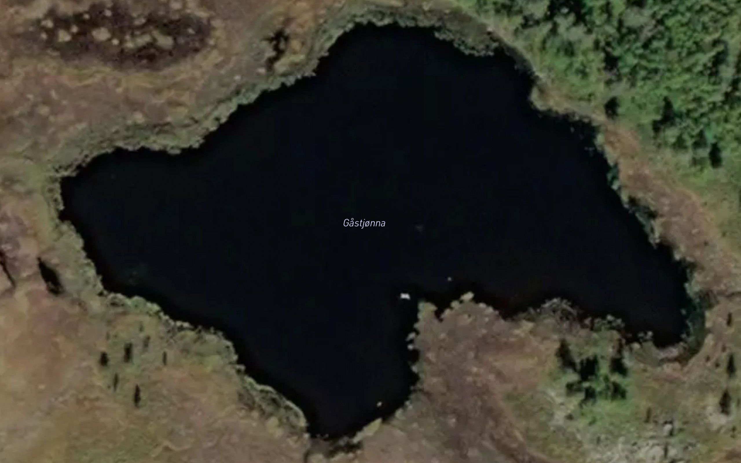 Gastjorna