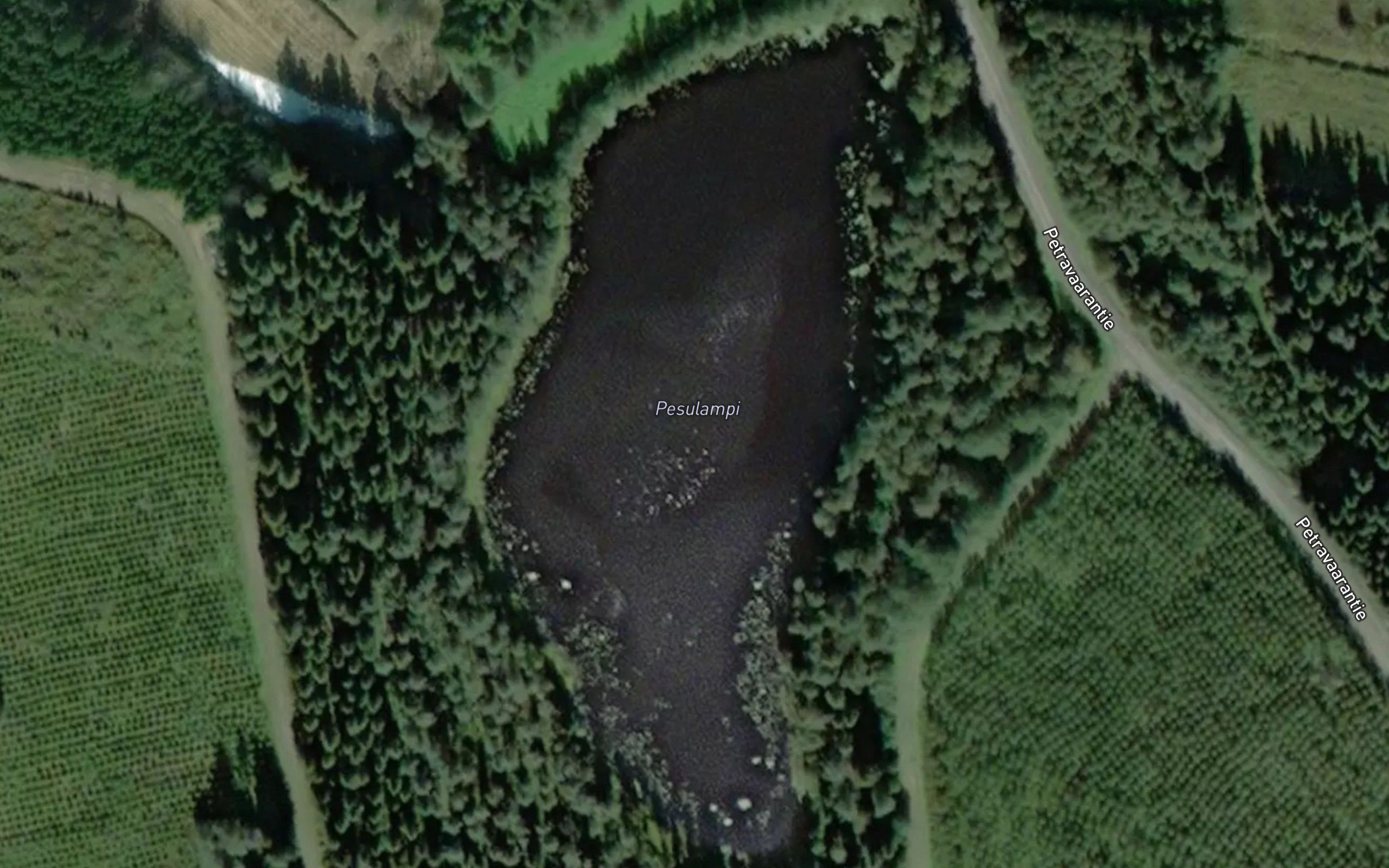 Pesulampi