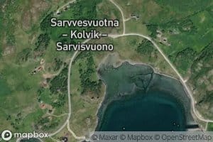 Saltegohppi