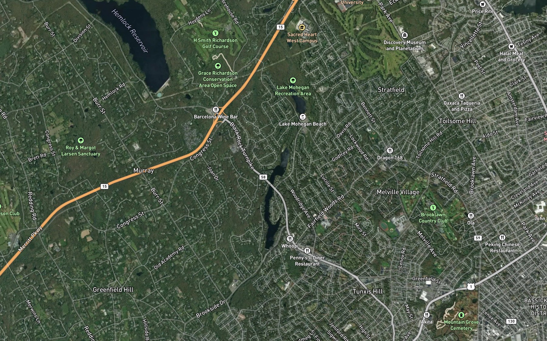 Satellite map of the Cricker Brook