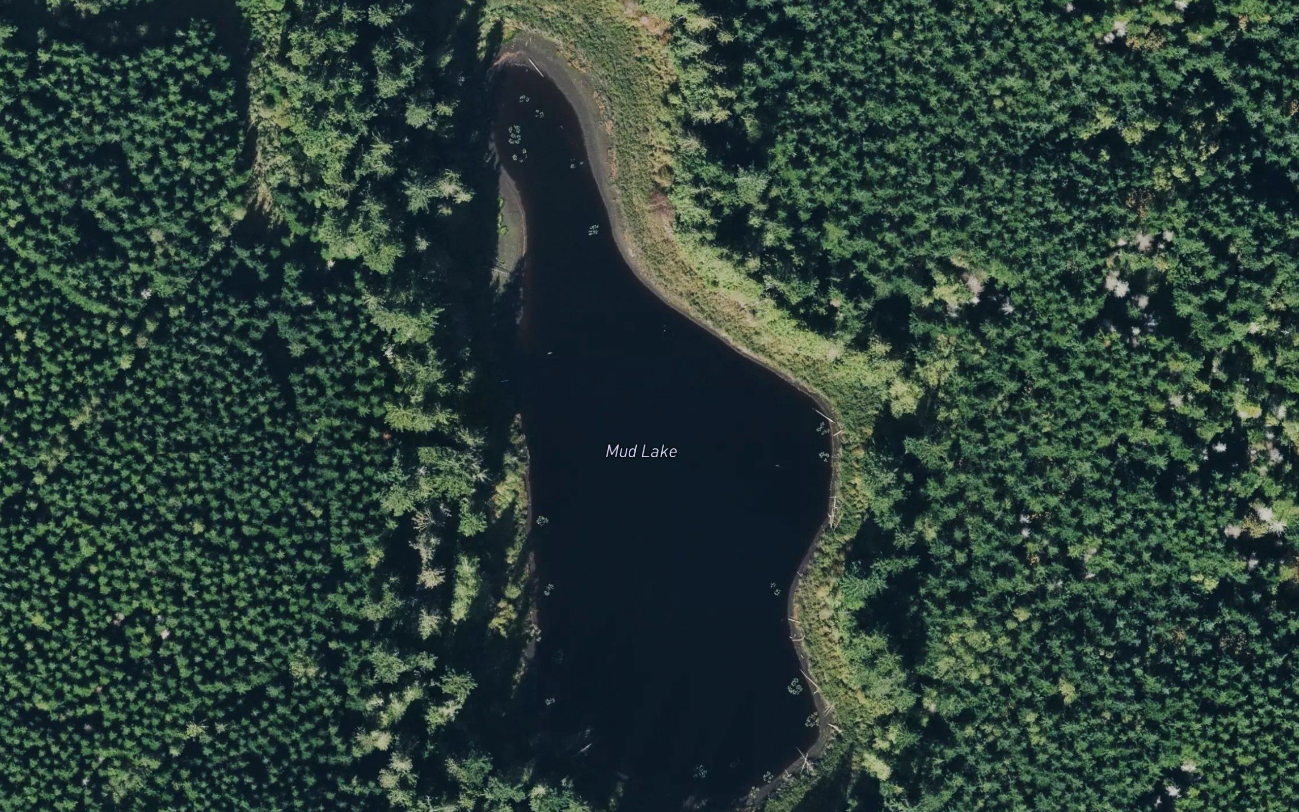 Mud Lake
