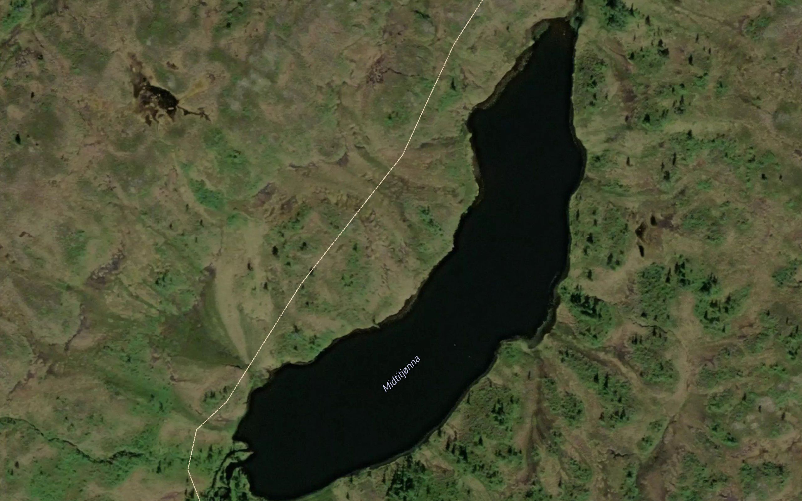 Midtitjorna