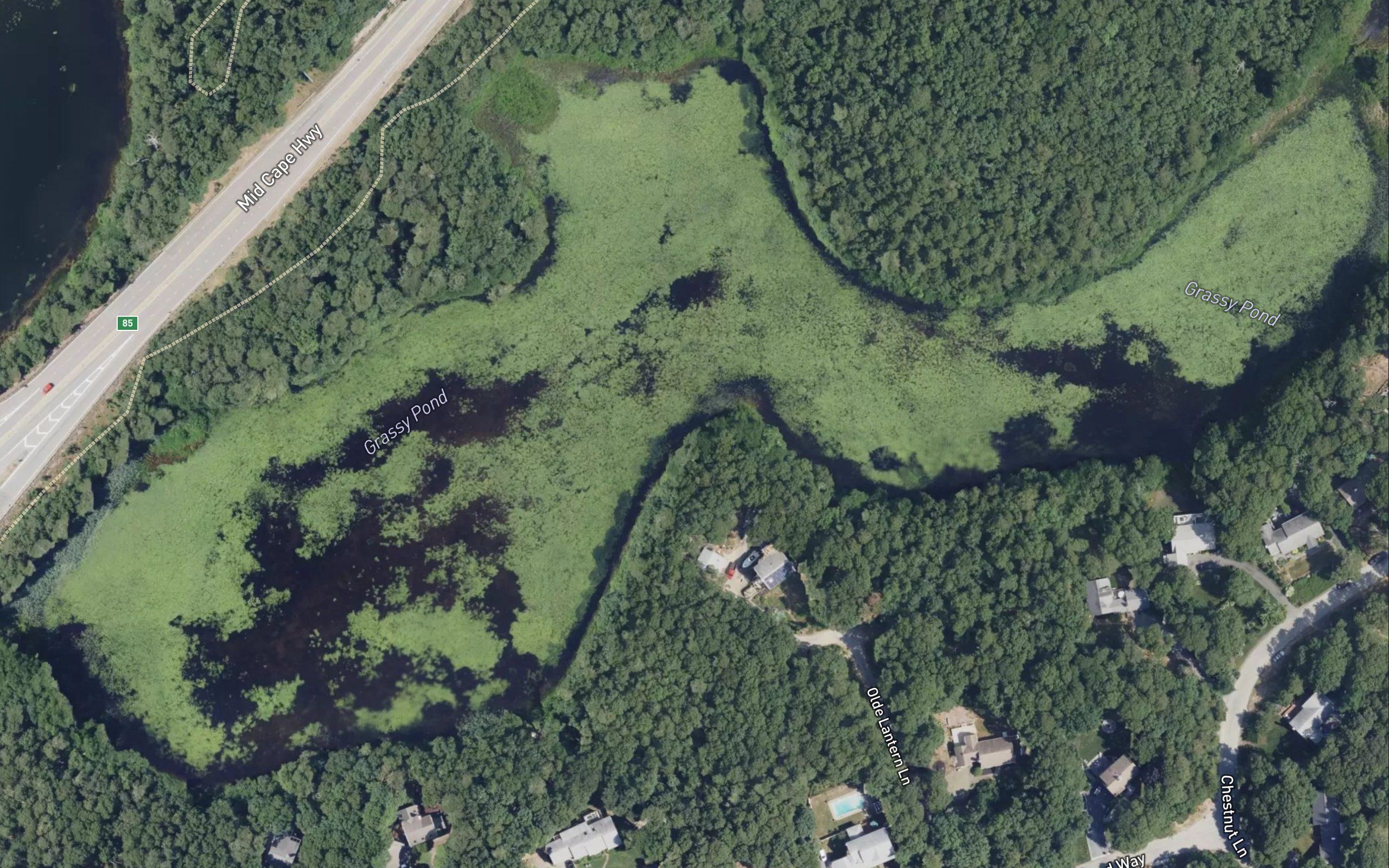 Grassy Pond