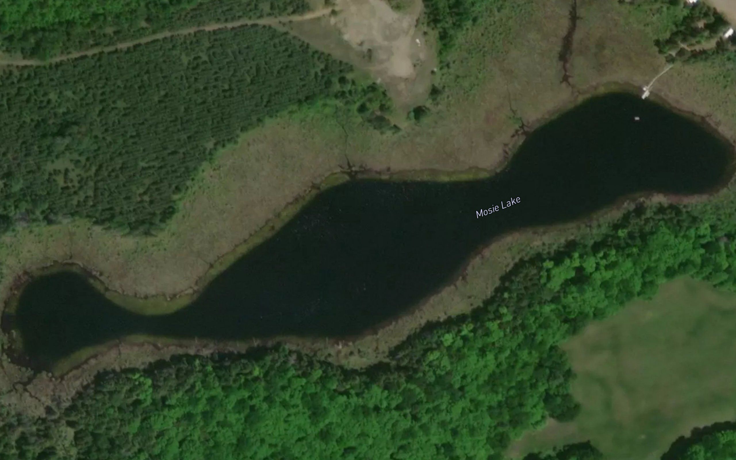 Mosie Lake