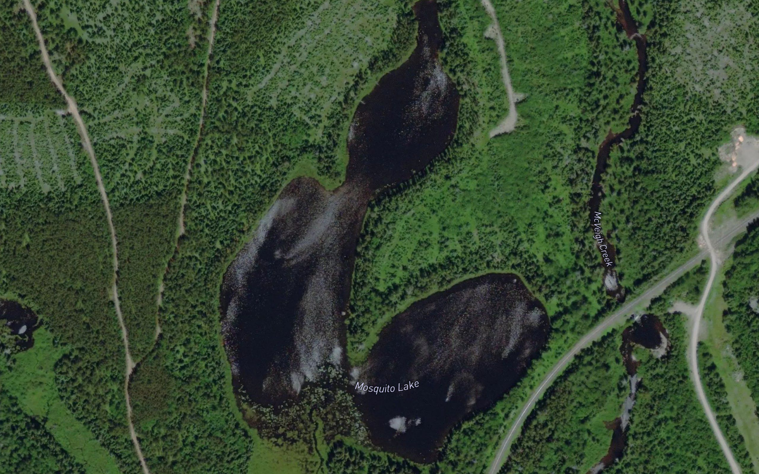Mosquito Lake