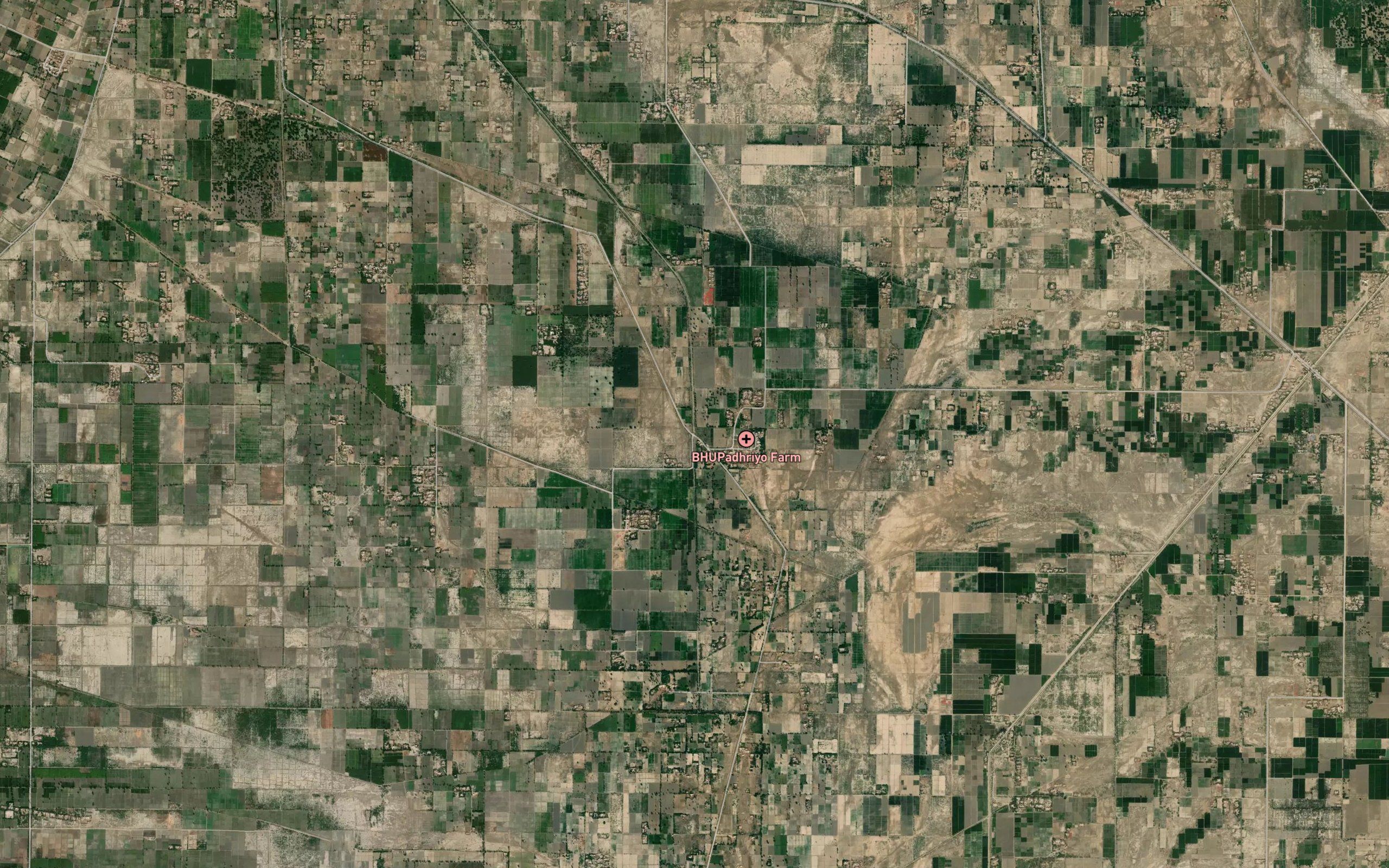 Puran Wah