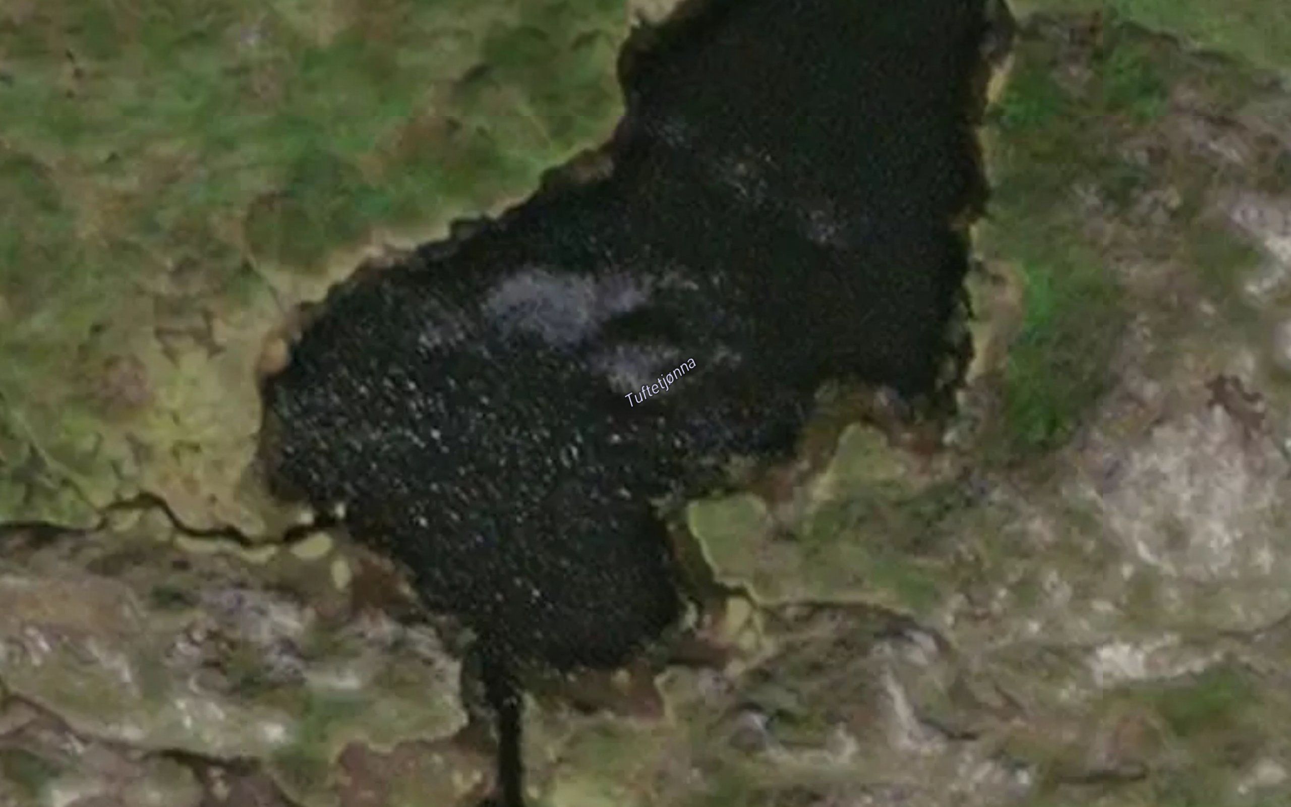 Tuftetjonna