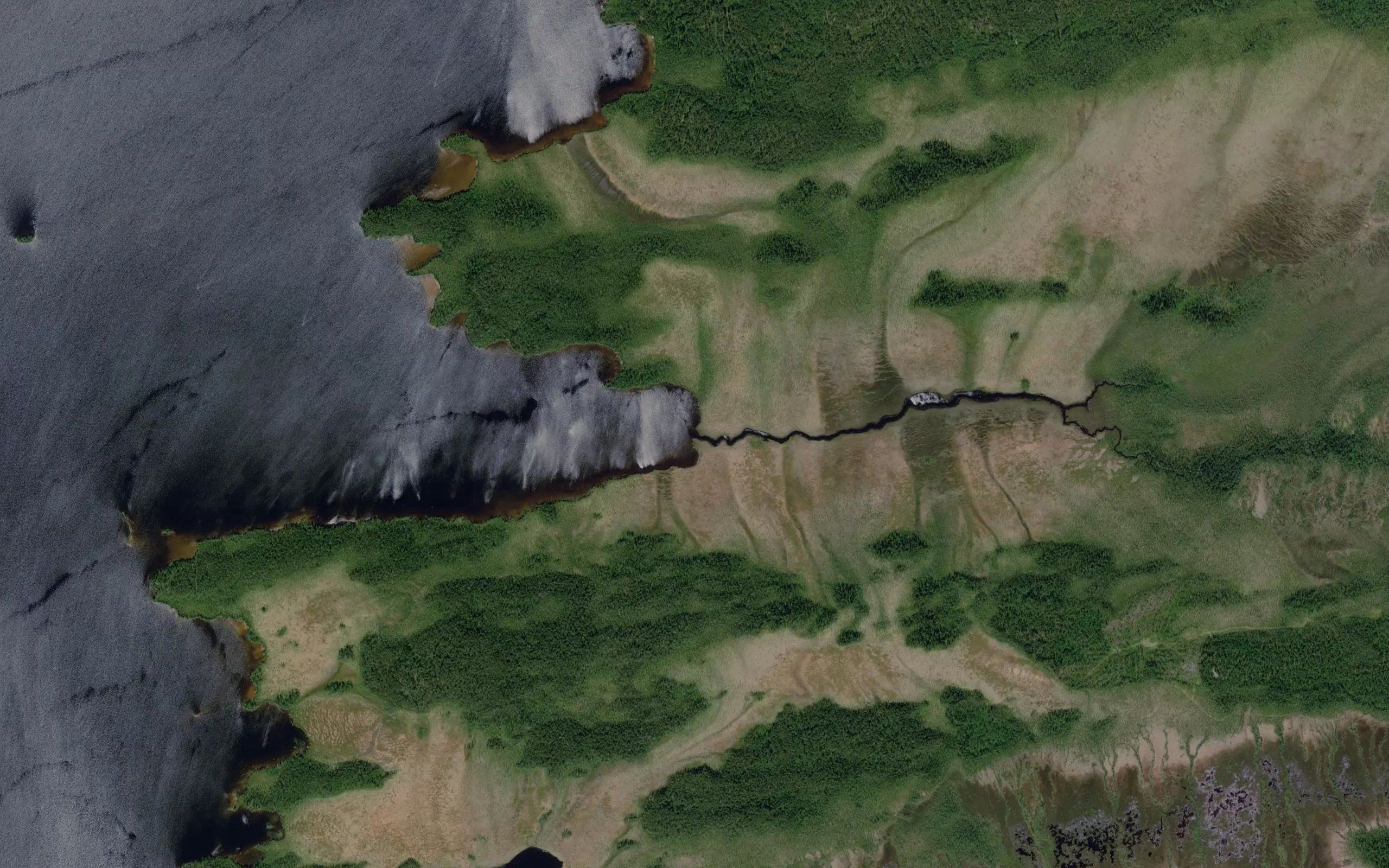 Sosnovaya