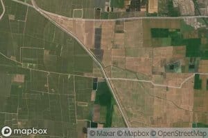 Distributary Number Eighty-five / Three