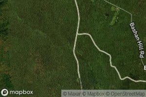Trout Brook