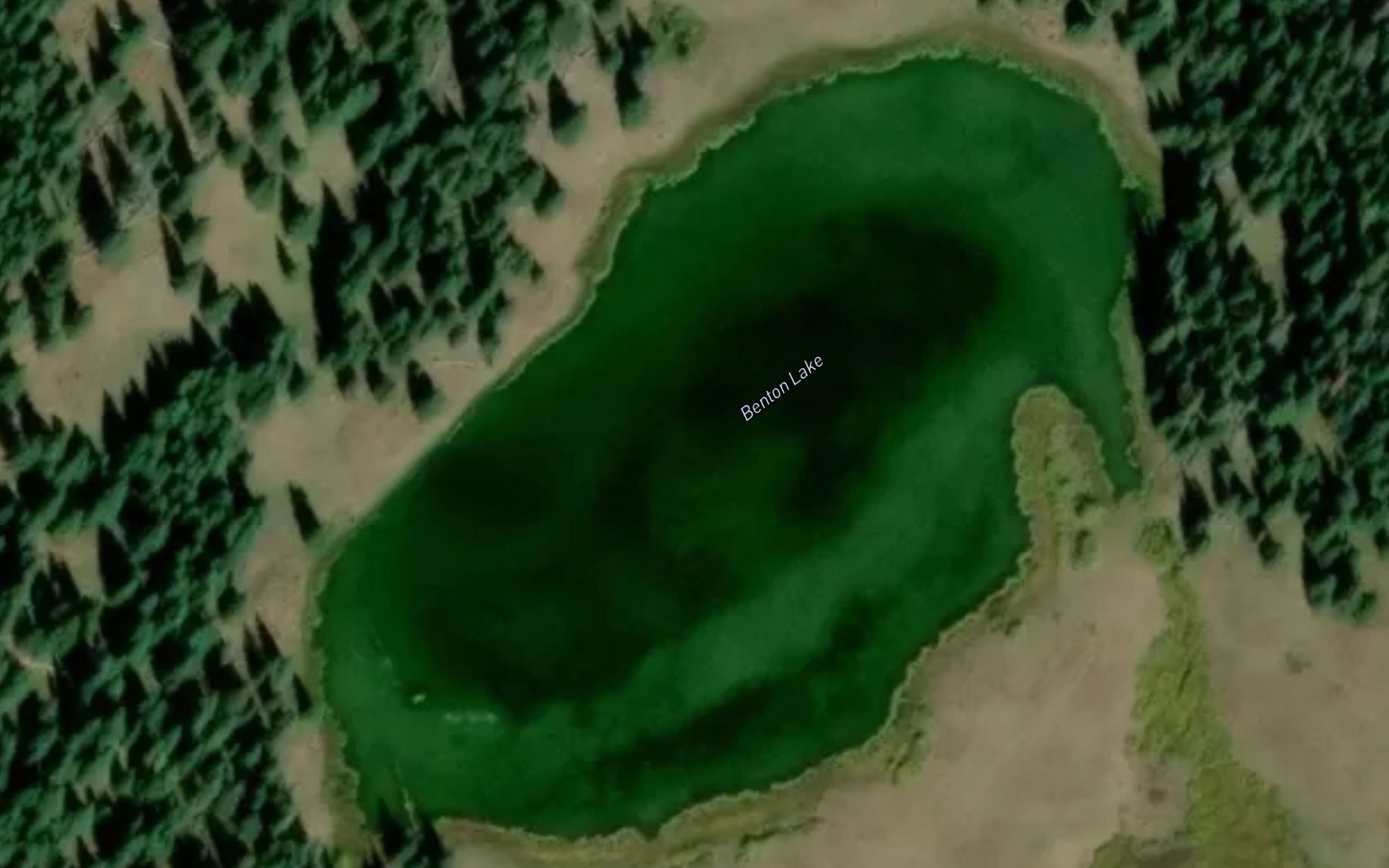 Satellite map of the Benton Lake