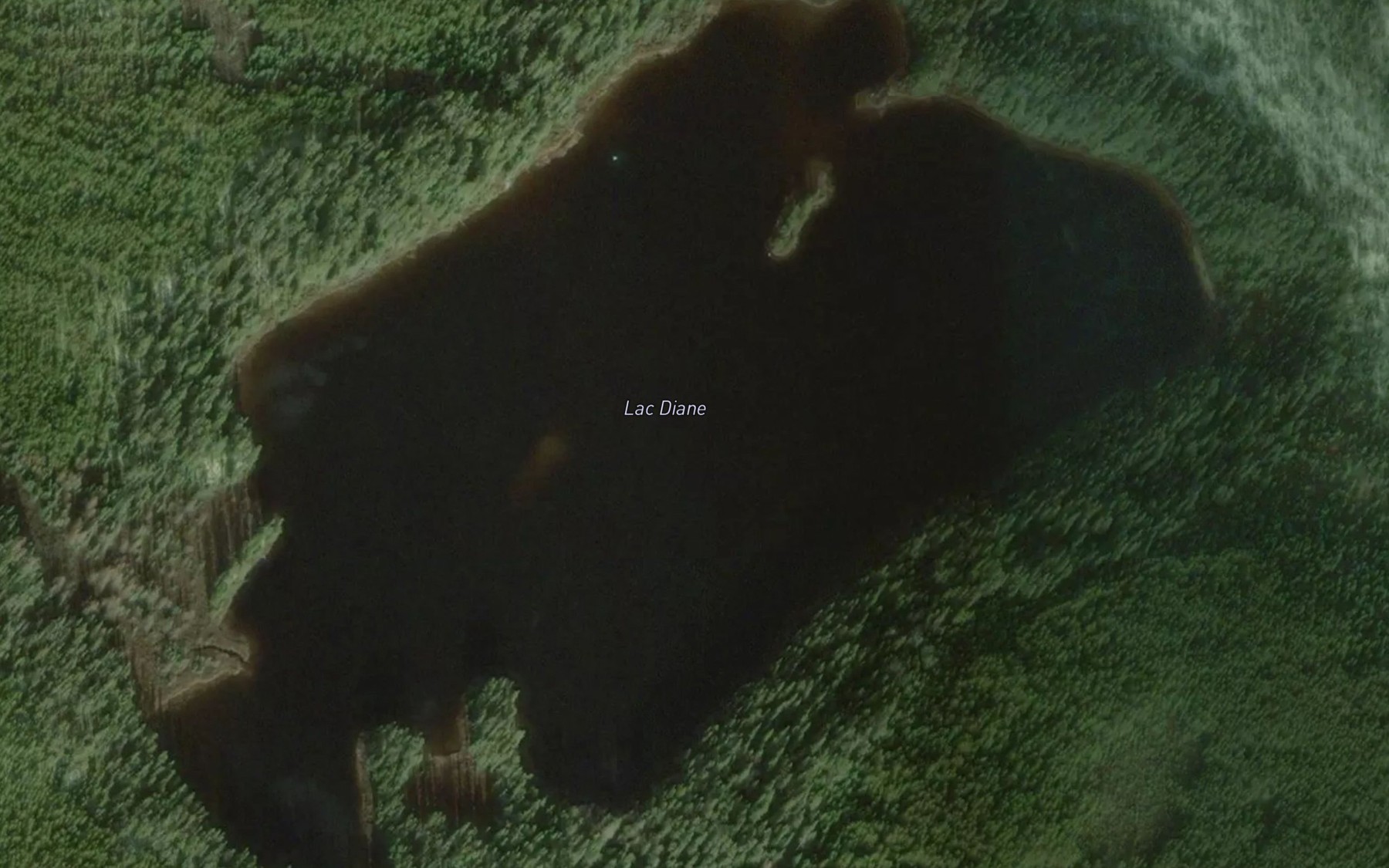 Satellite map of the Lac Diane
